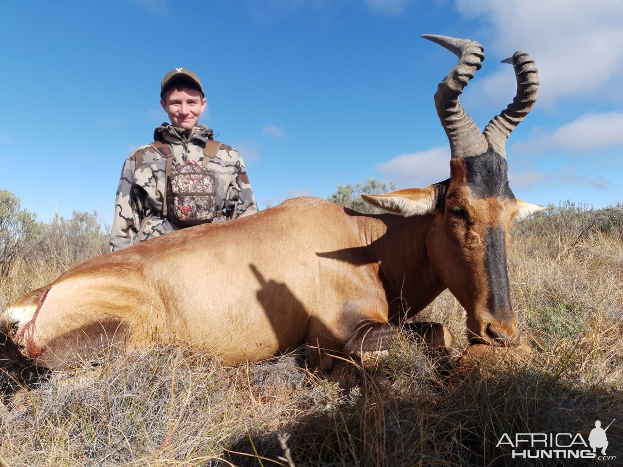 Red Hartebeest Hunting South Africa