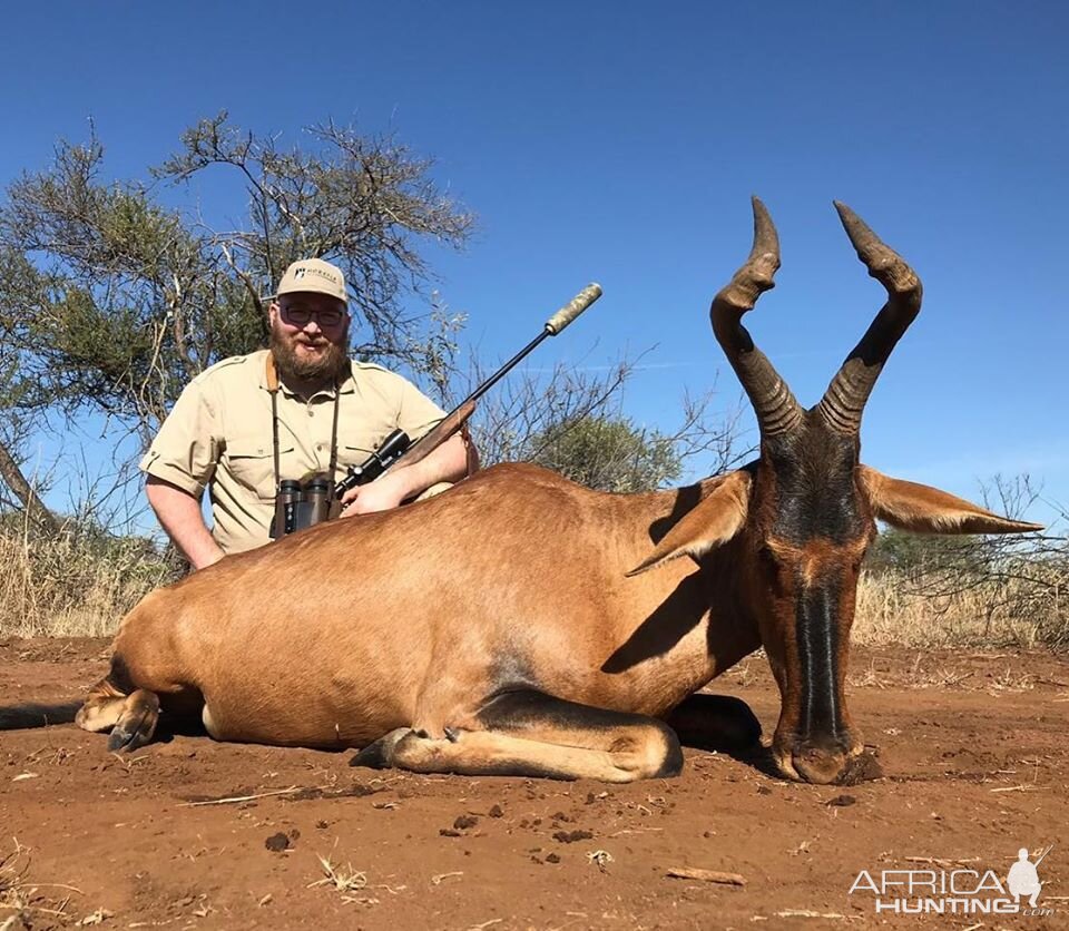 Red Hartebeest Hunting South Africa