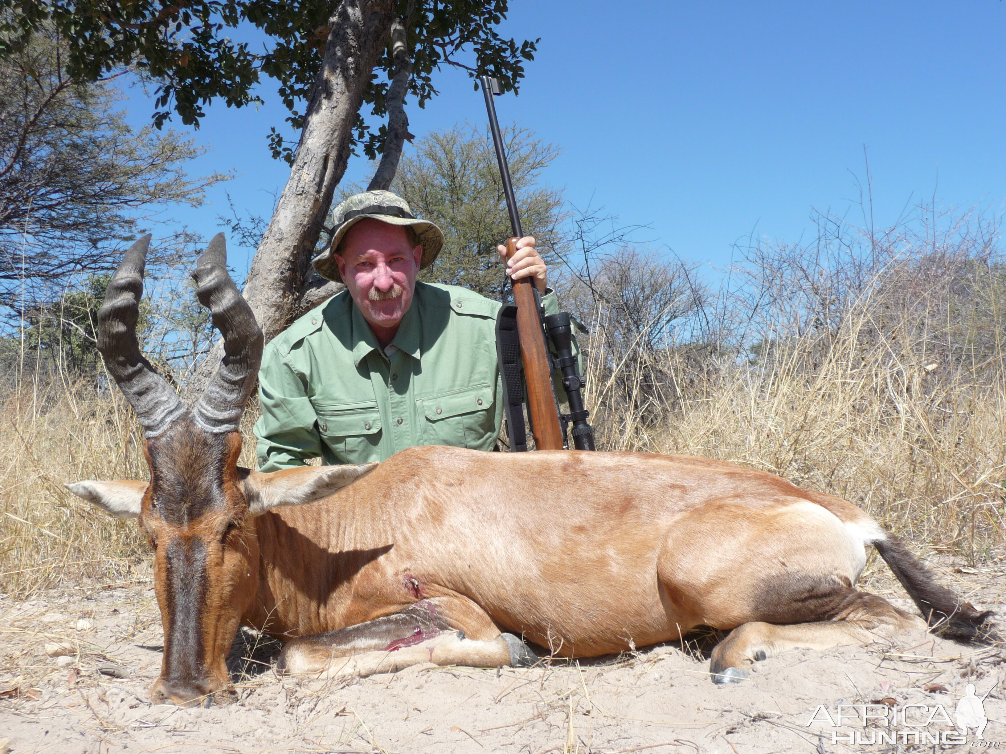 Red Hartebeest Nam 2012