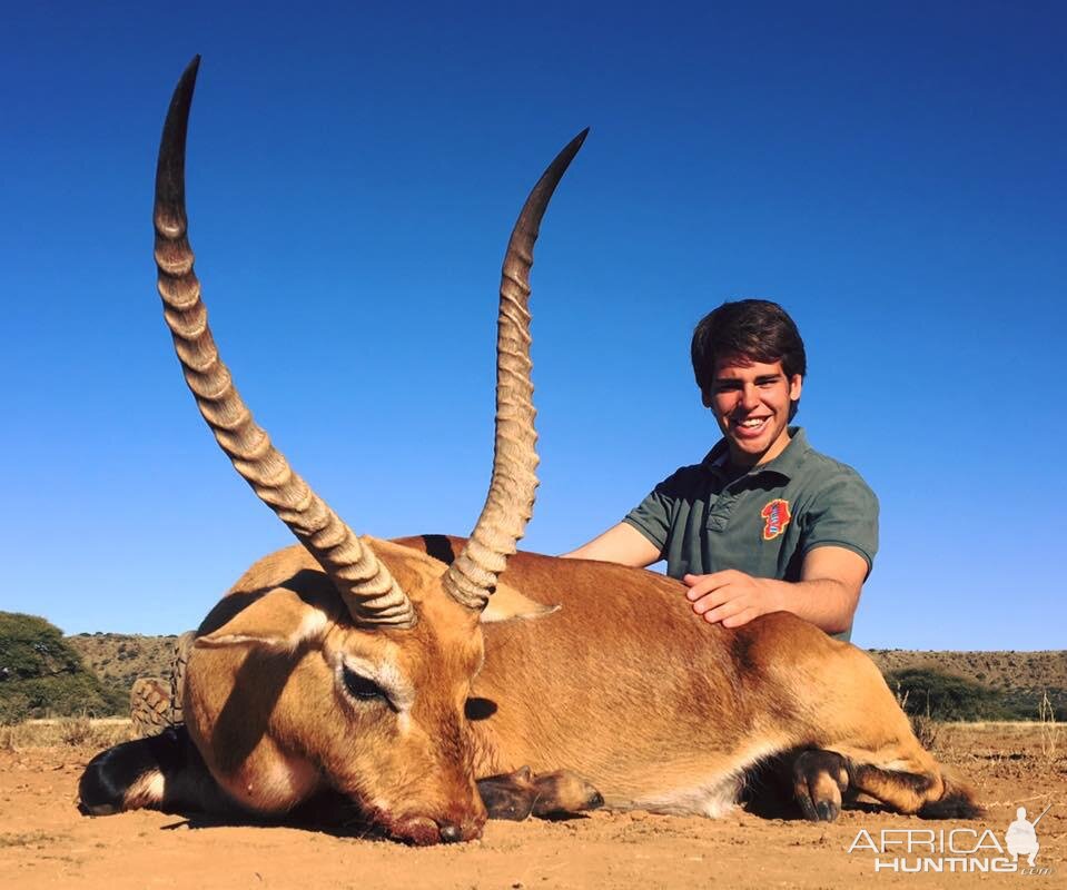 Red Lechwe Hunt South Africa