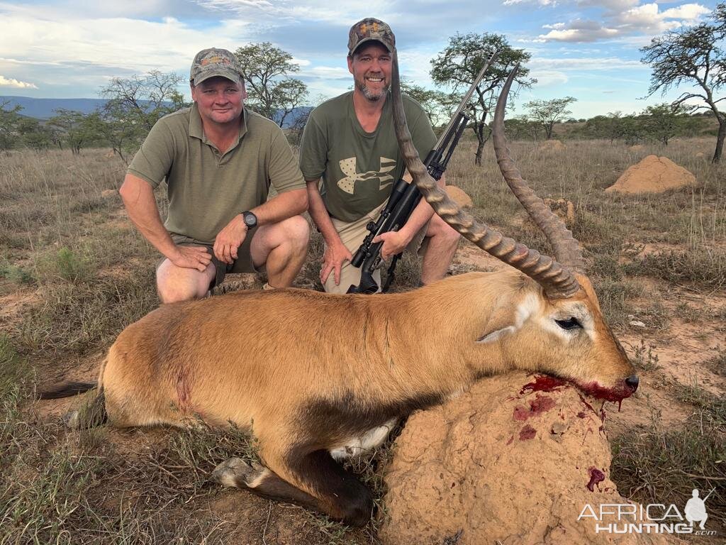 Red Lechwe Hunt South Africa