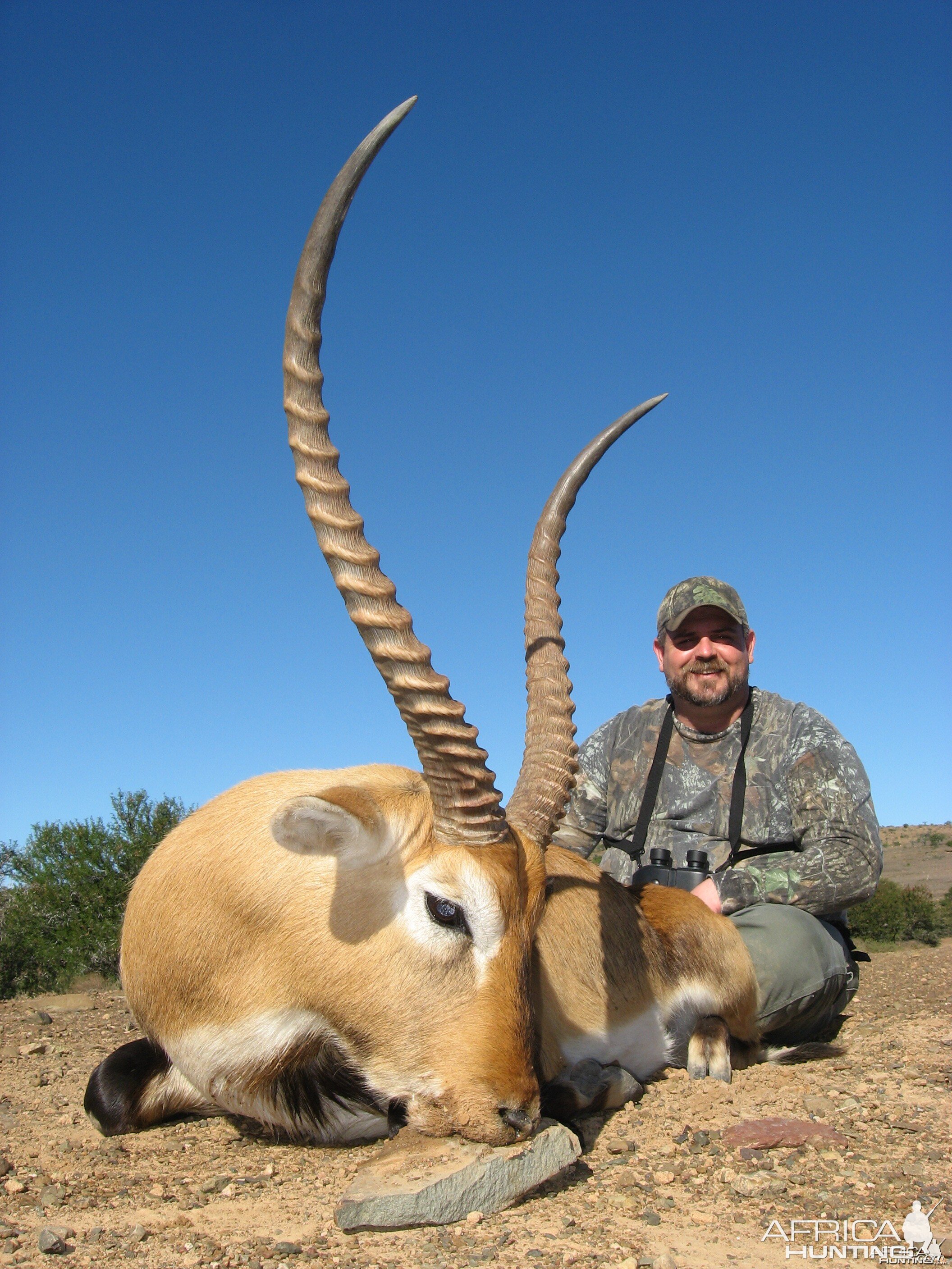 Red Lechwe hunted with Andrew Harvey Safaris