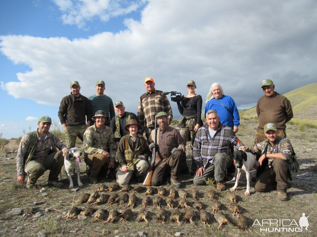 Red Leg Partridges Hunting Spain