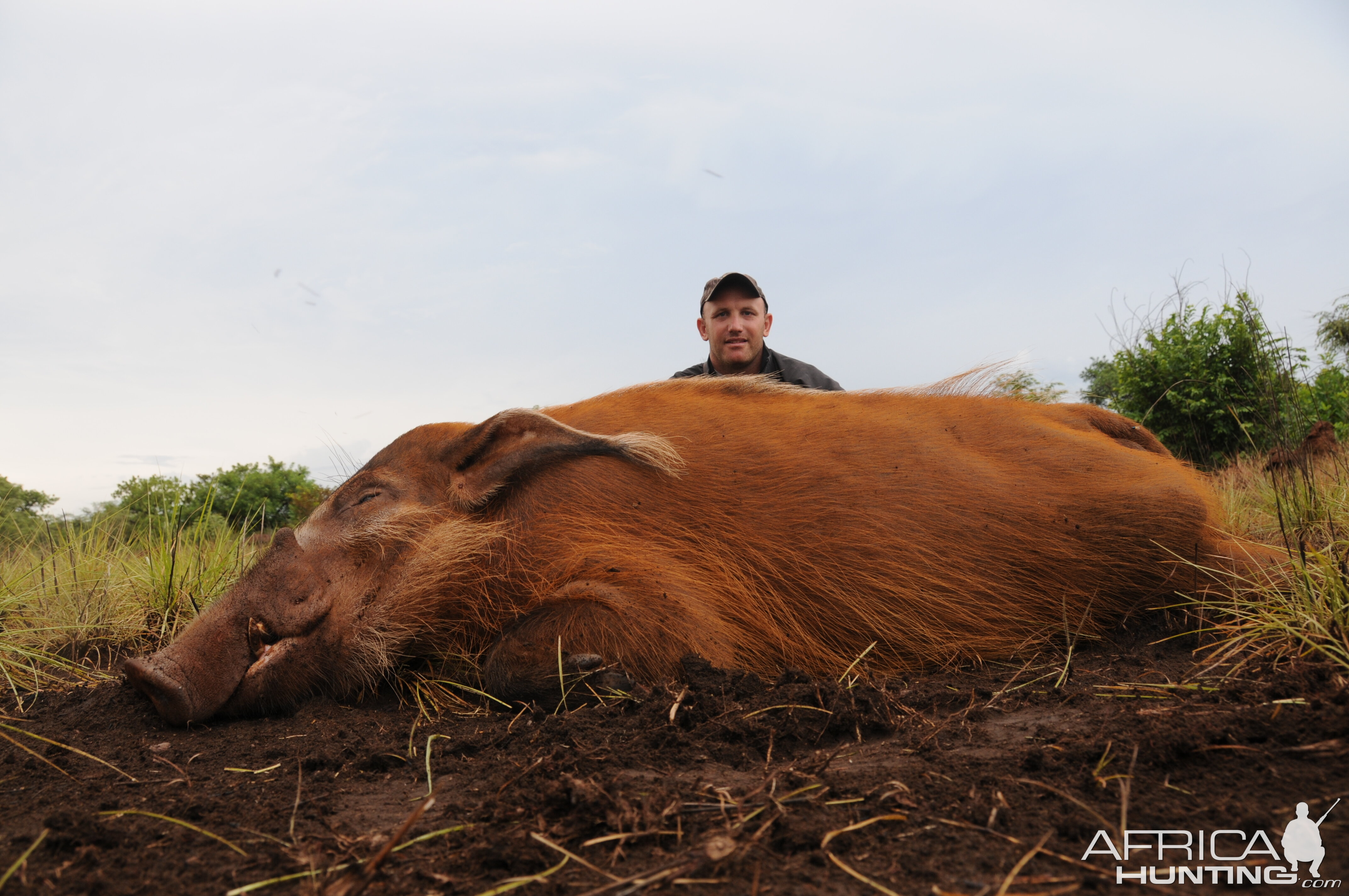 Red River Hog hunt with CAWA in CAR