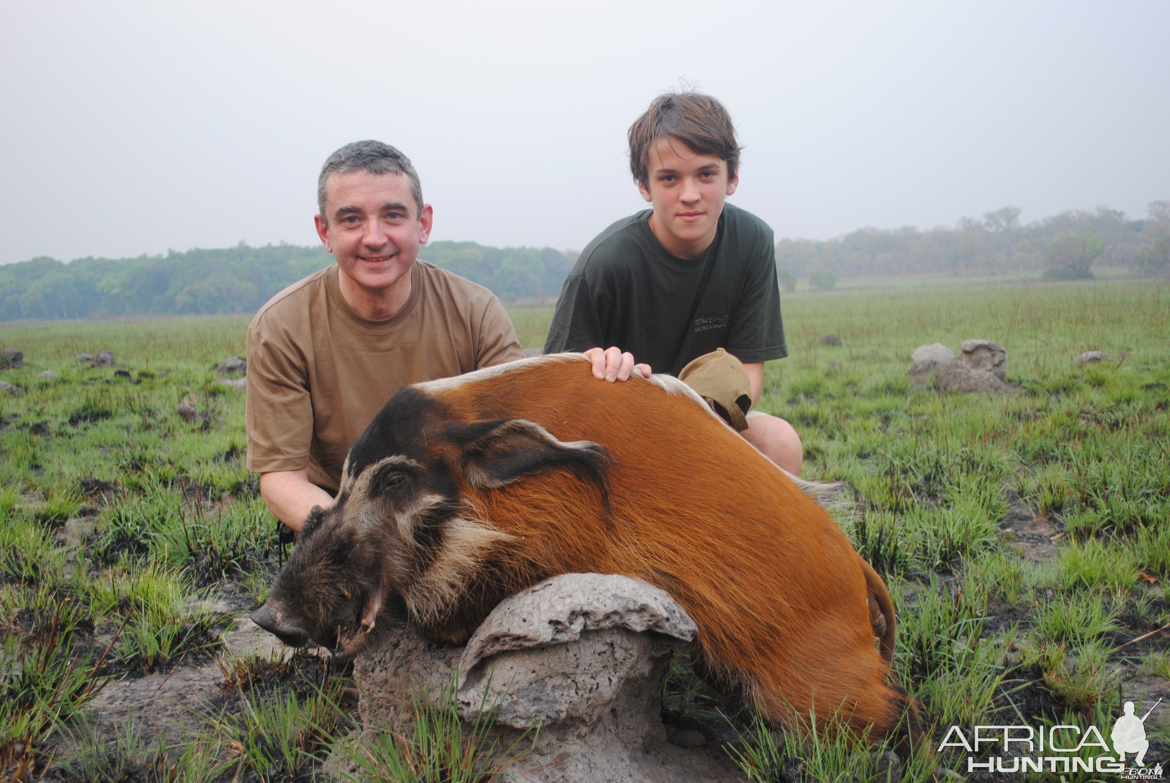 Red River Hog hunted in Central Africa with Club Faune