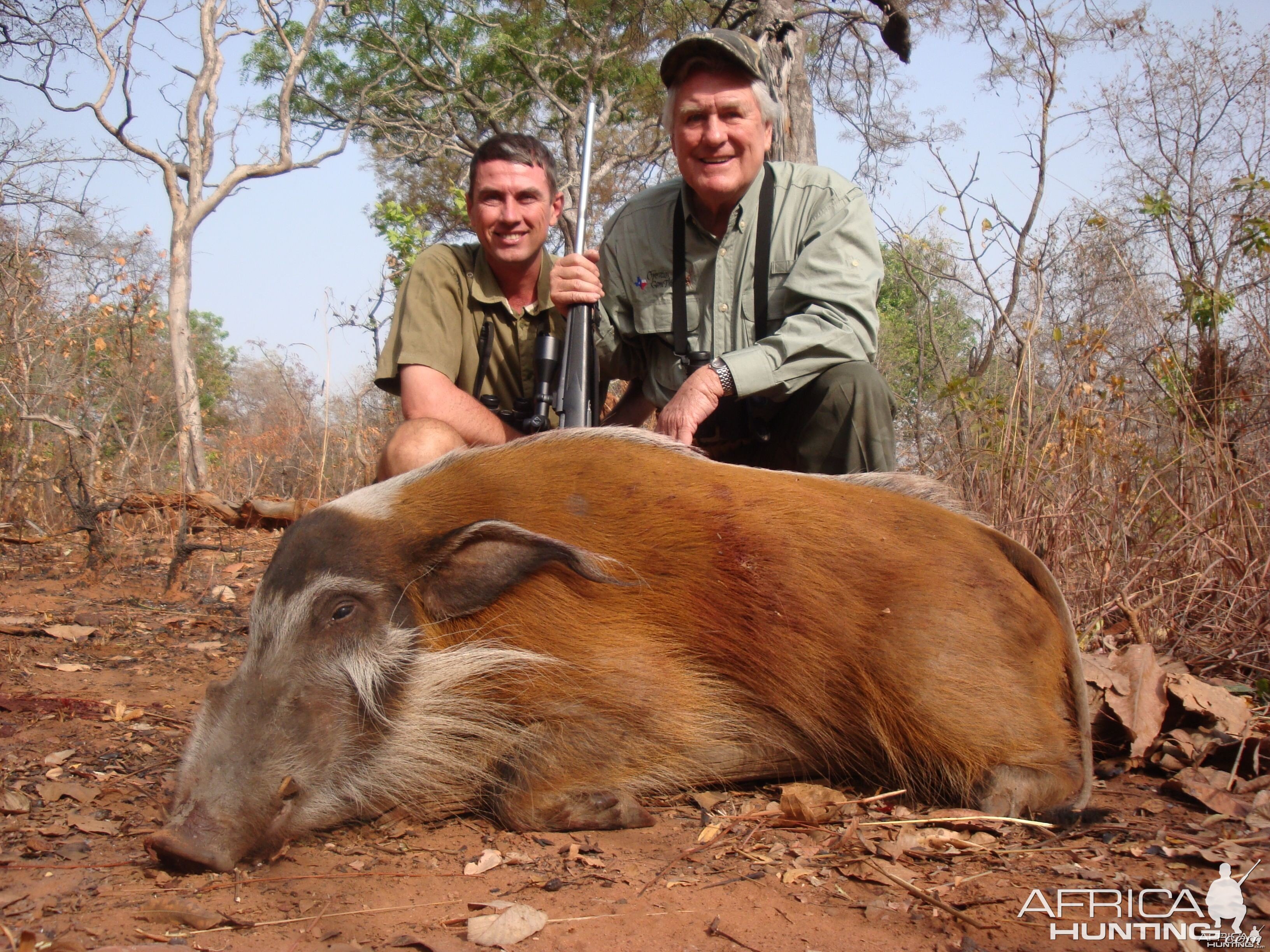 Red River Hog hunted in Central Africa with Club Faune