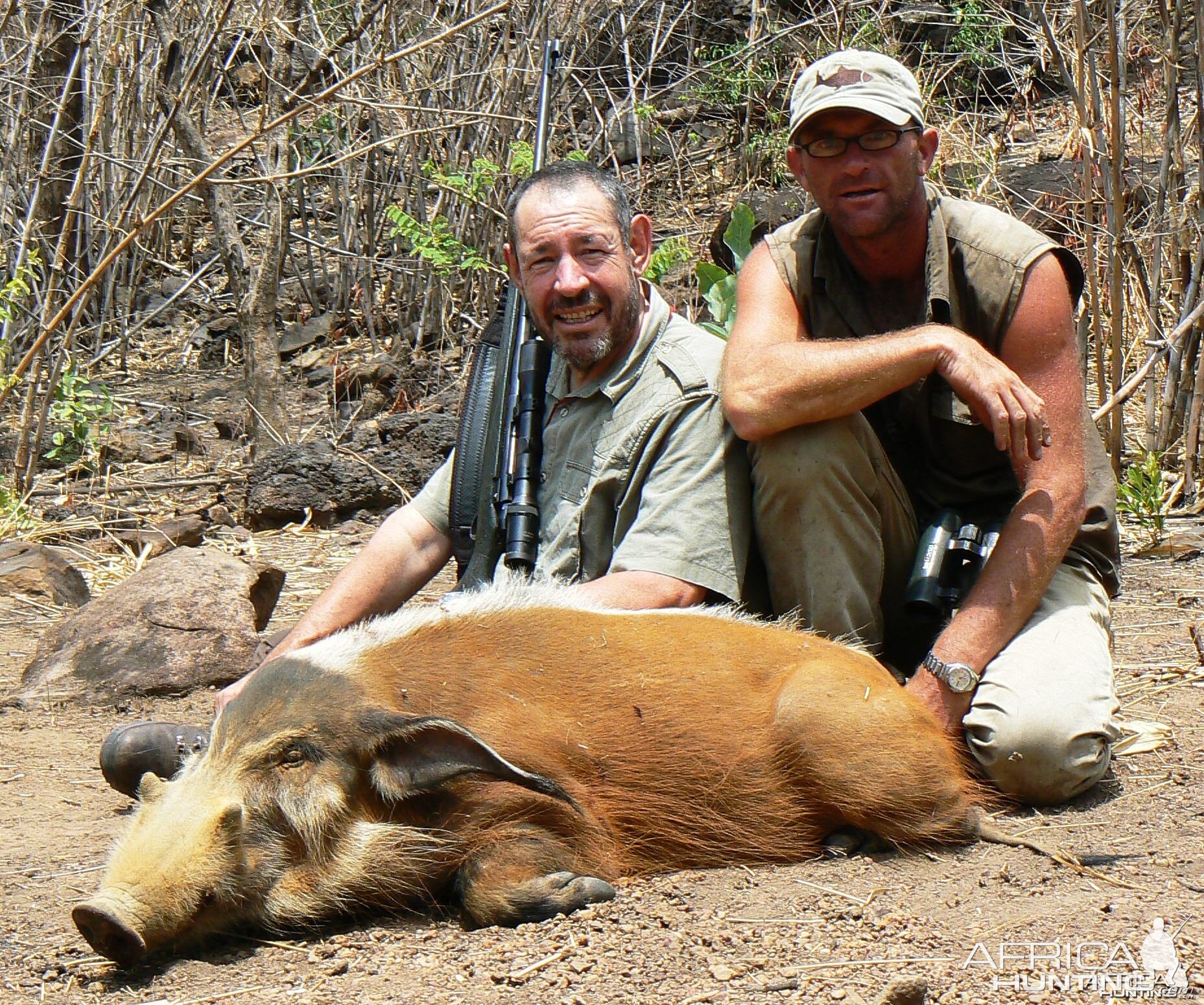 Red river hog hunting in CAR