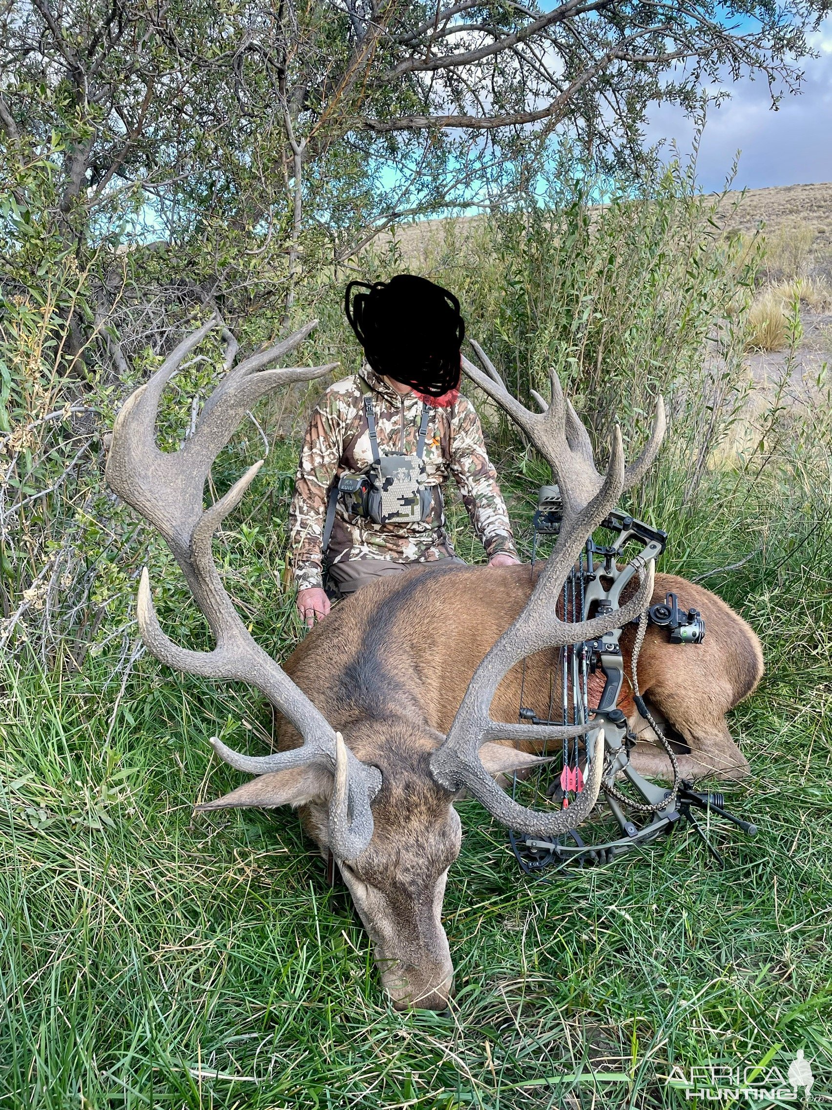 Red Stag Bow Hunt Argentina