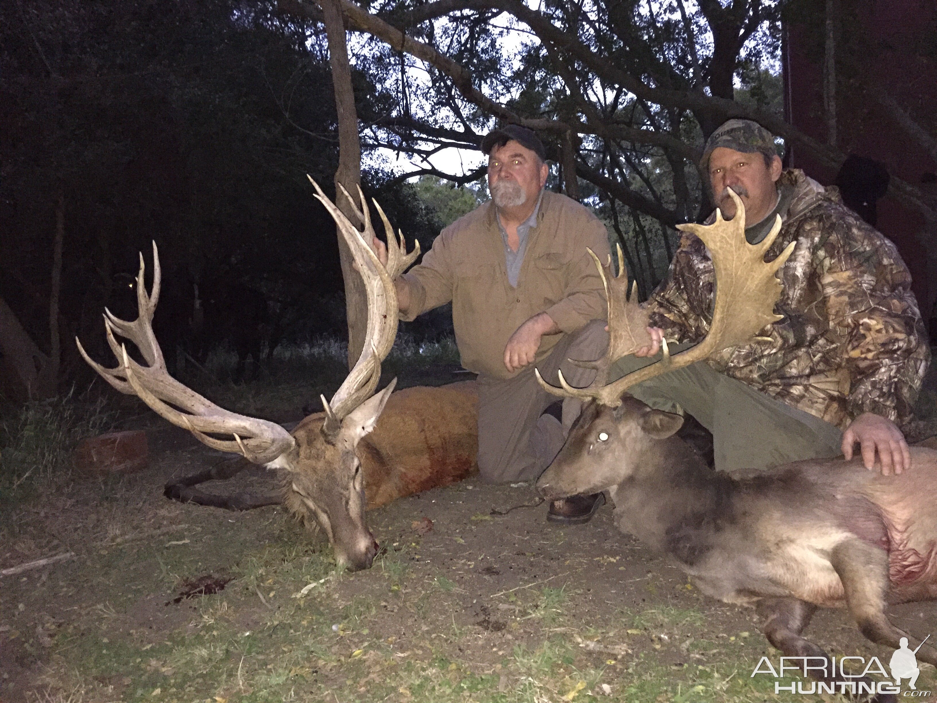 Red Stag & Fallow Deer Hunt Argentina