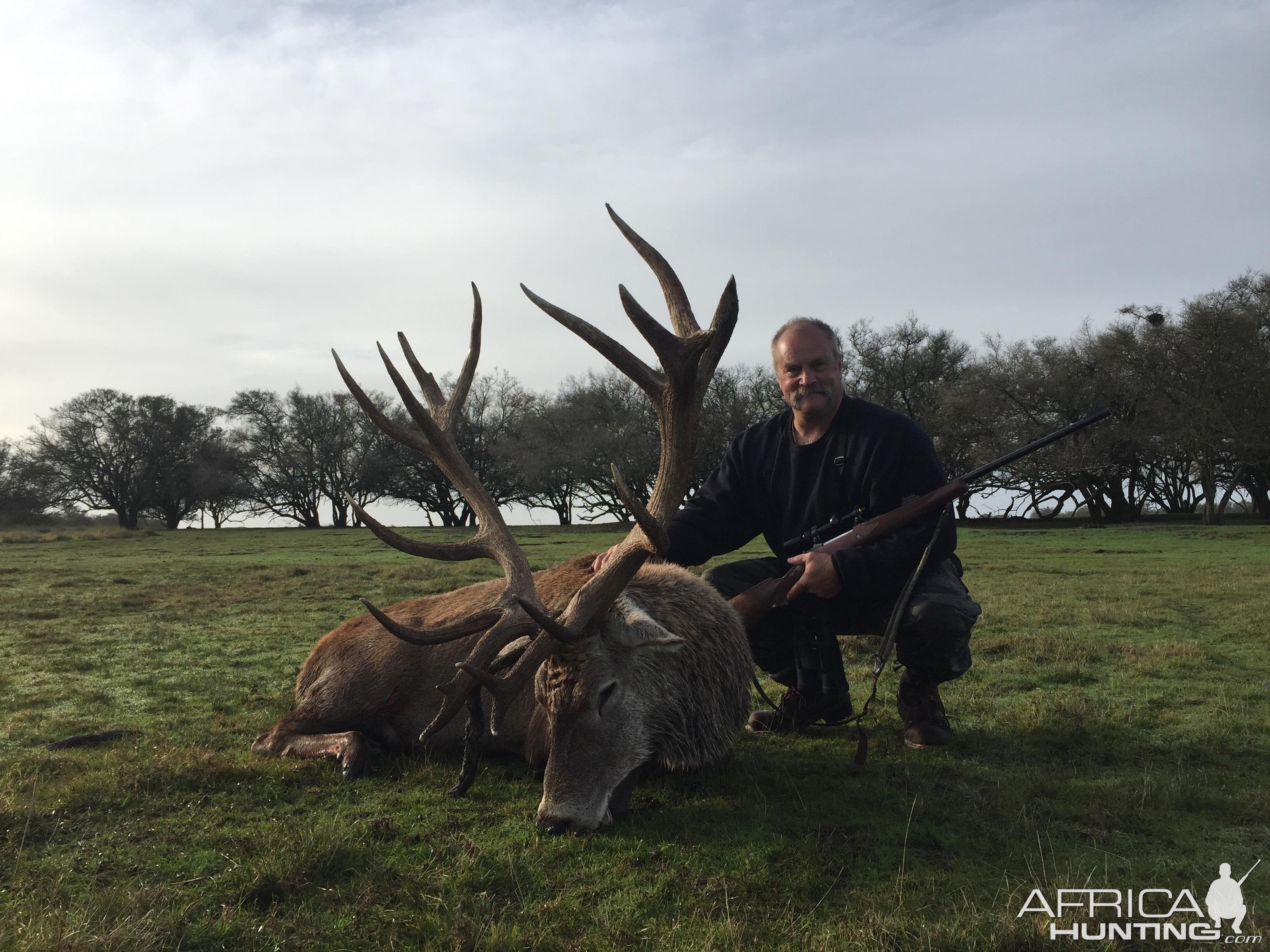 Red Stag Hunt Argentina