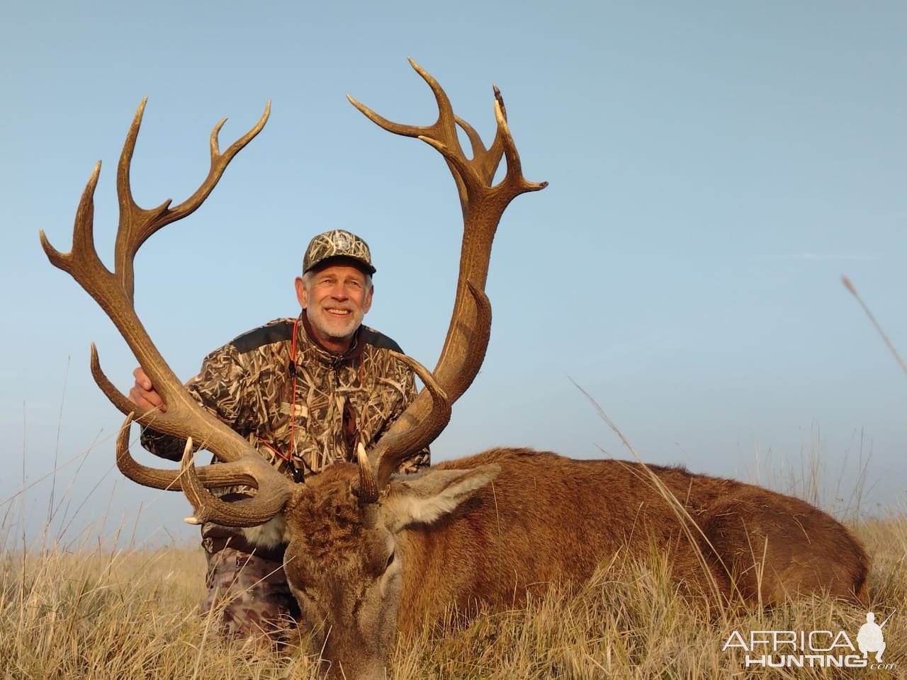 Red Stag Hunt Argentina