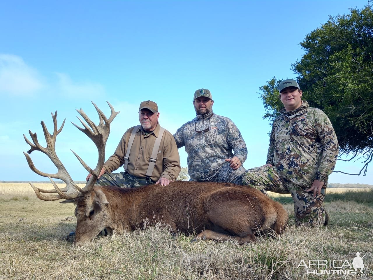 Red Stag Hunt Argentina