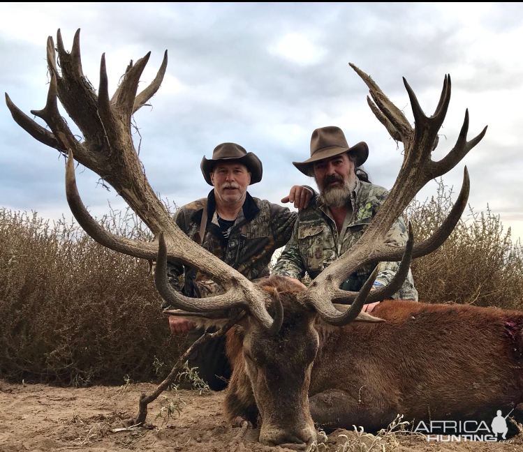 Red Stag Hunt Argentina