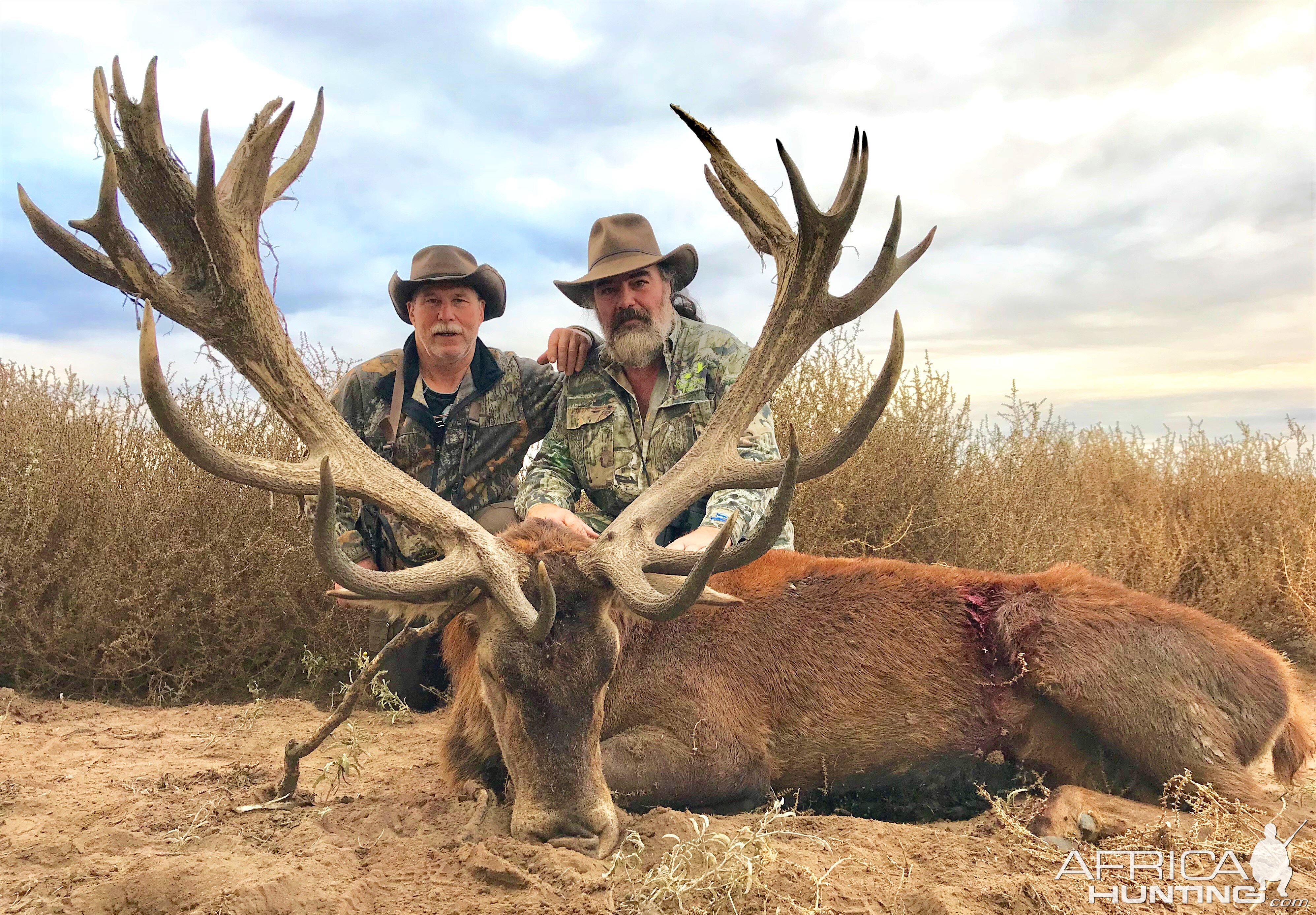 Red Stag Hunt Argentina