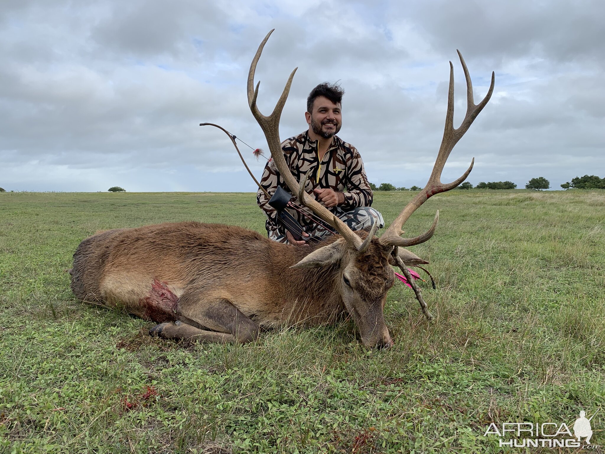 Red Stag Hunt Argentina