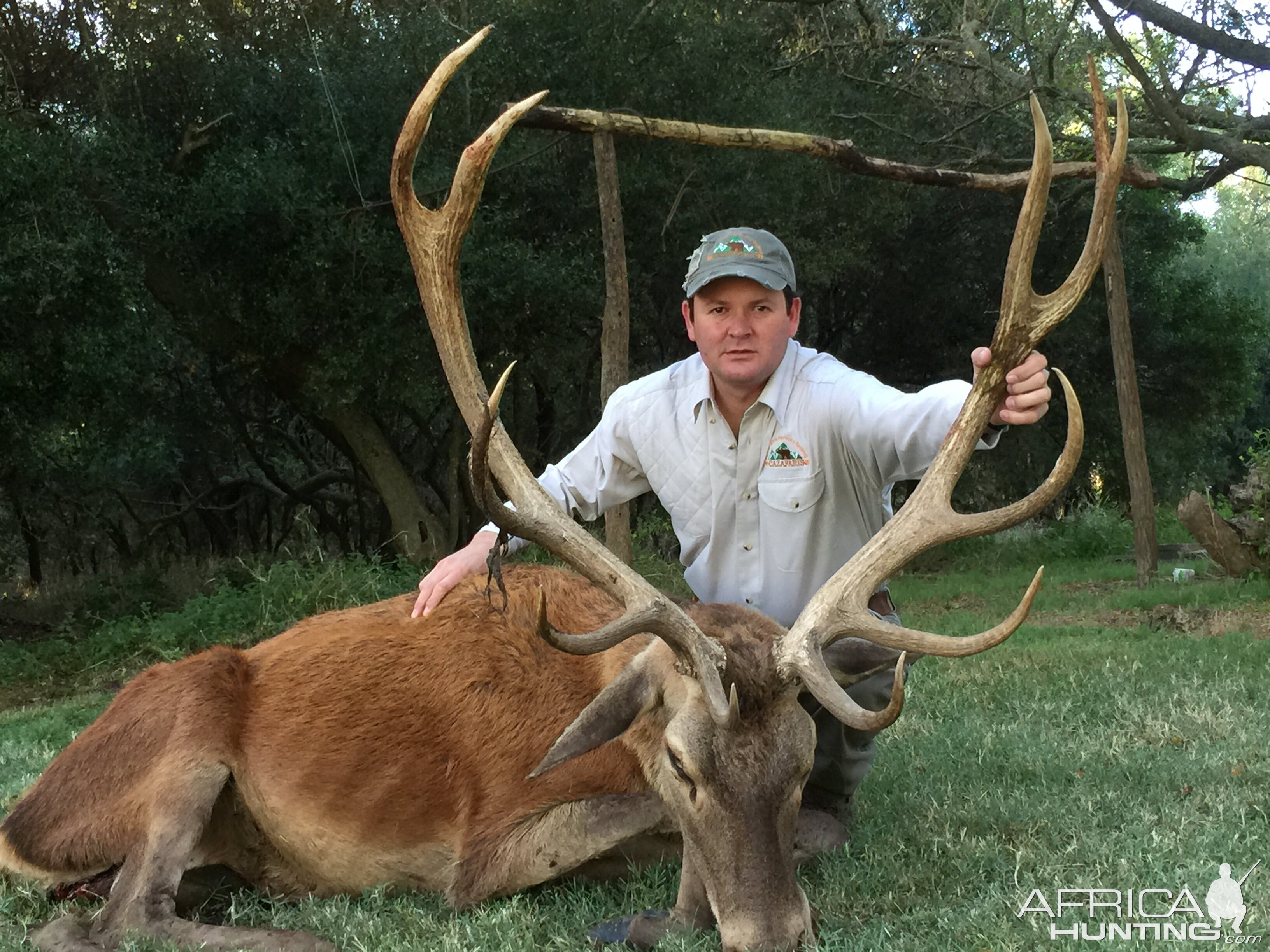 Red Stag Hunt Argentina