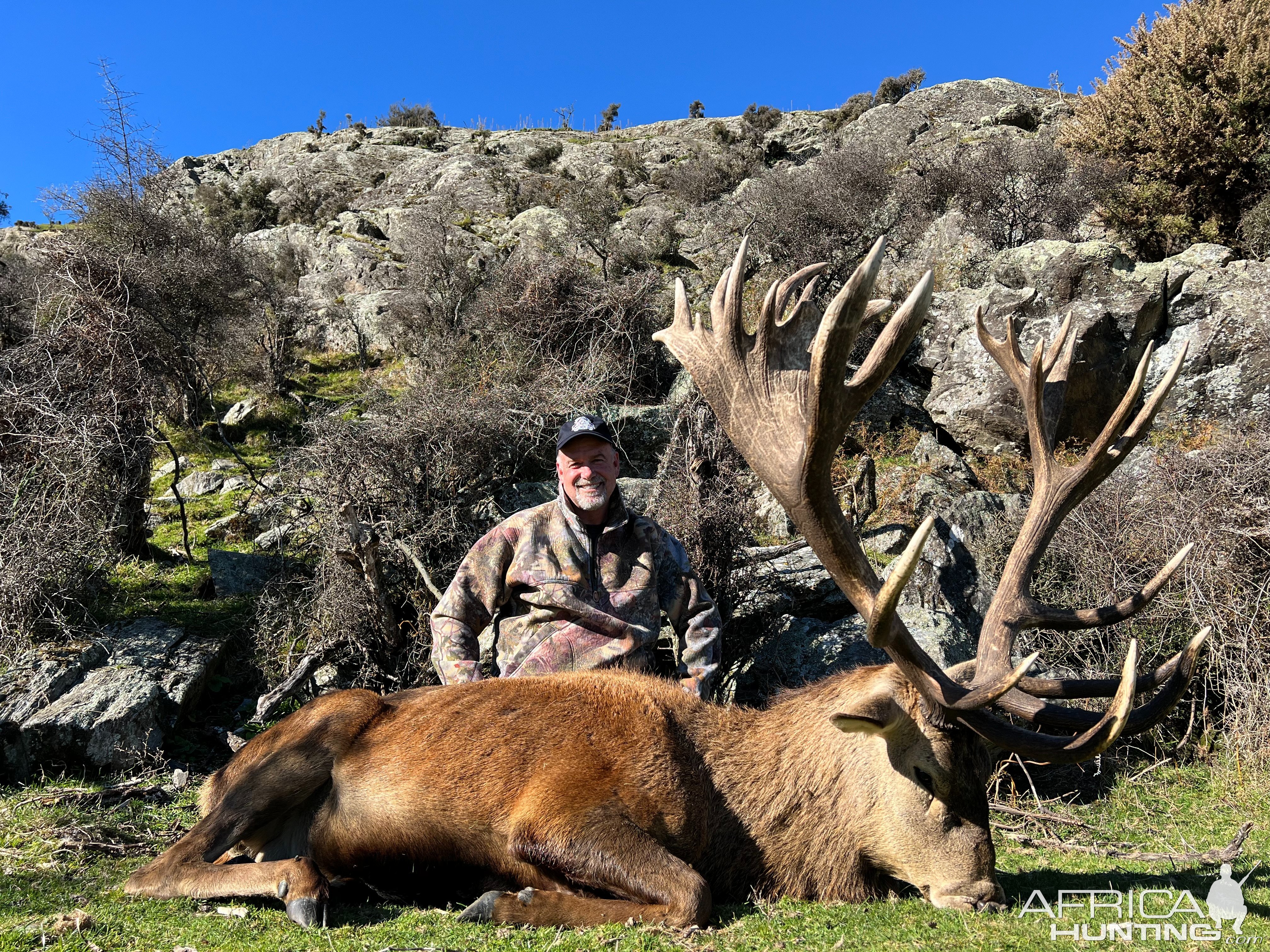 Red Stag Hunt New Zealand