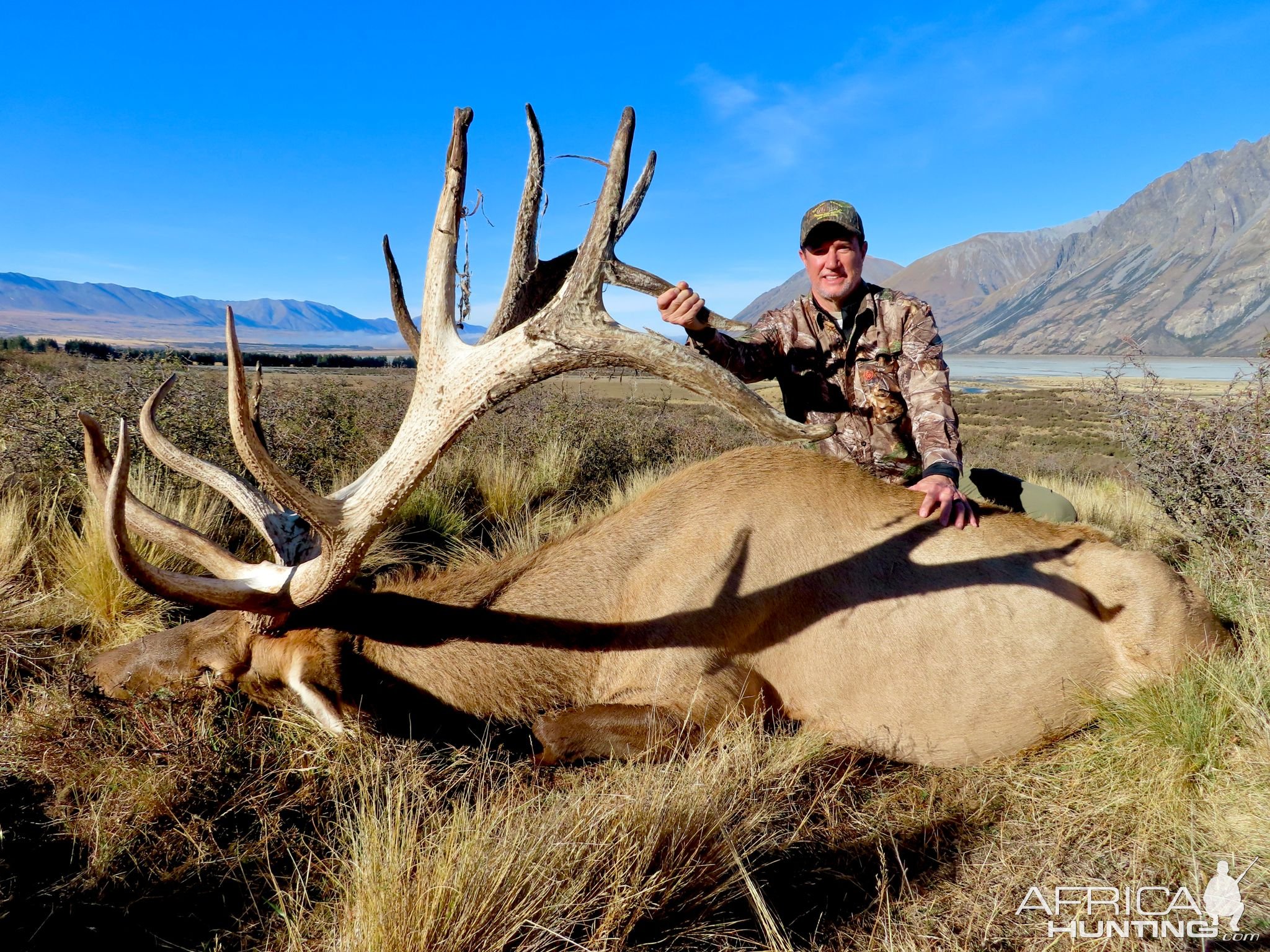 Red Stag Hunt New Zealand