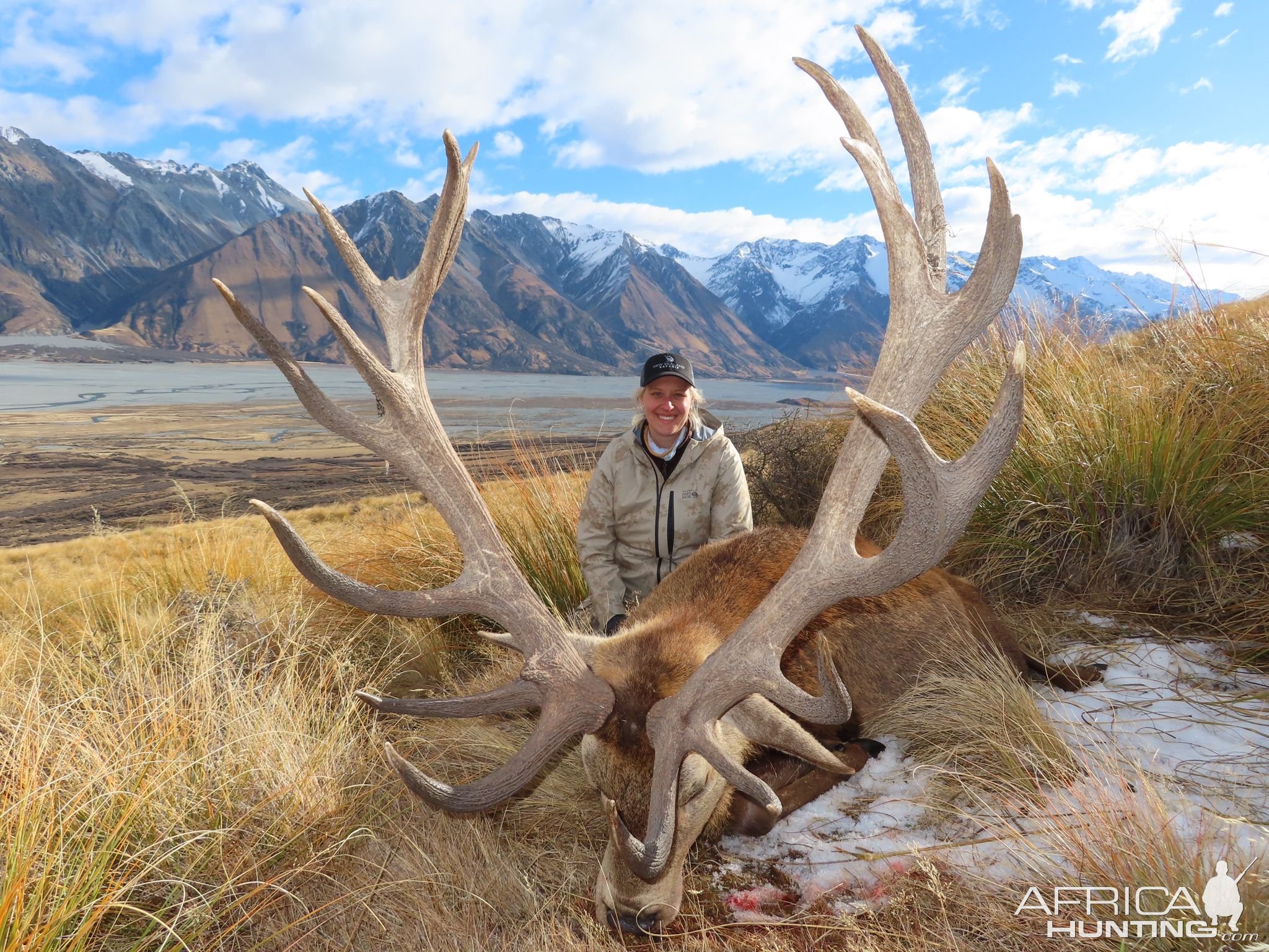 Red Stag Hunt New Zealand