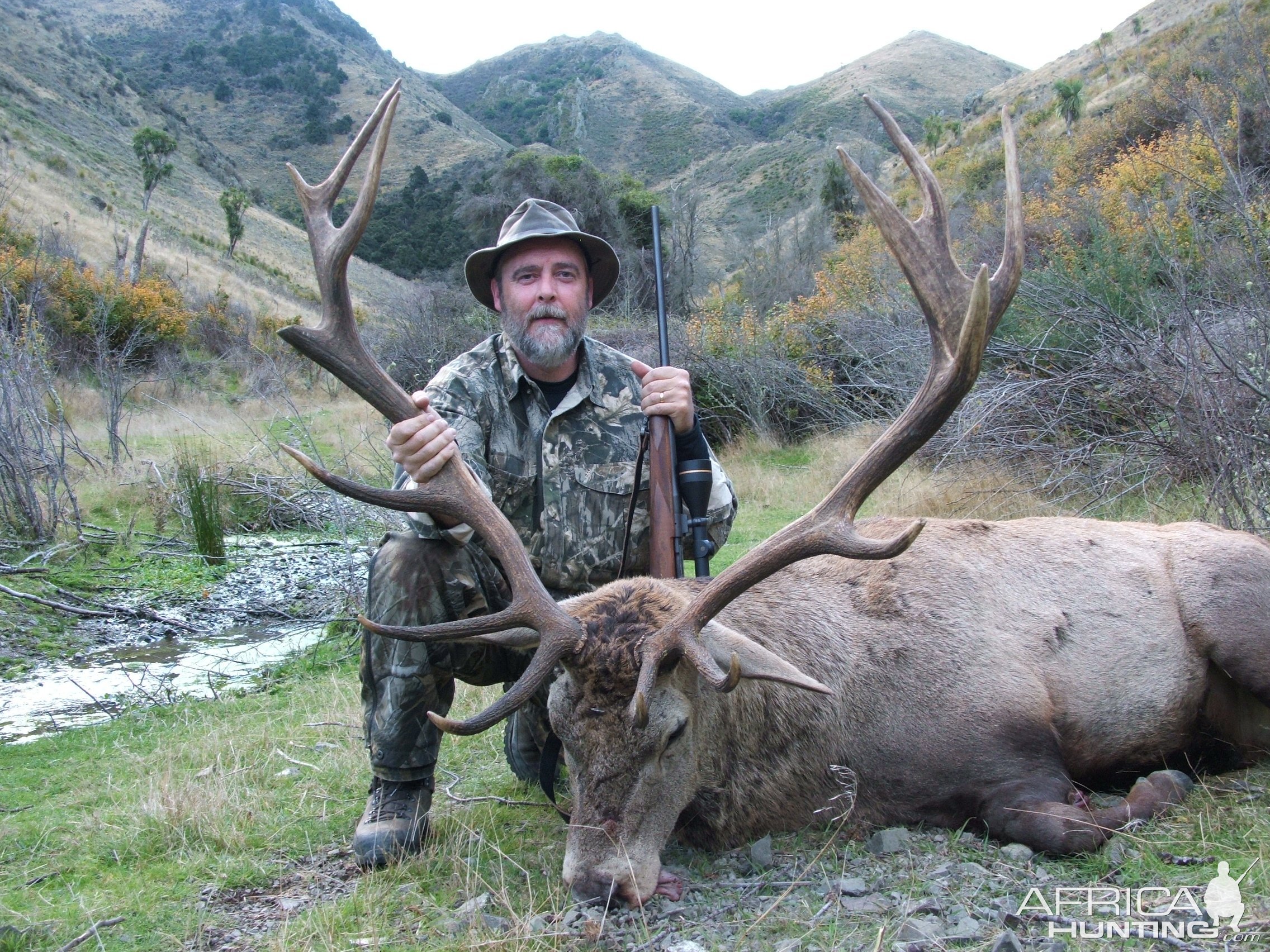 Red Stag Hunt New Zealand