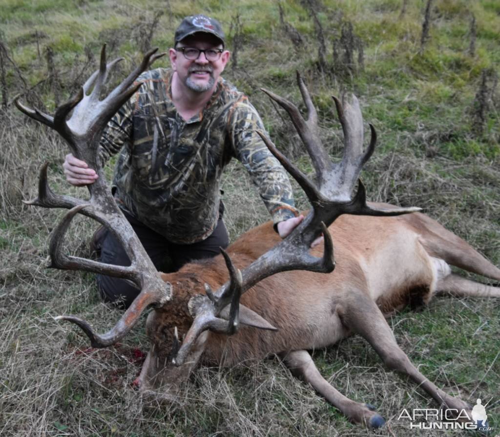 Red Stag Hunt New Zealand