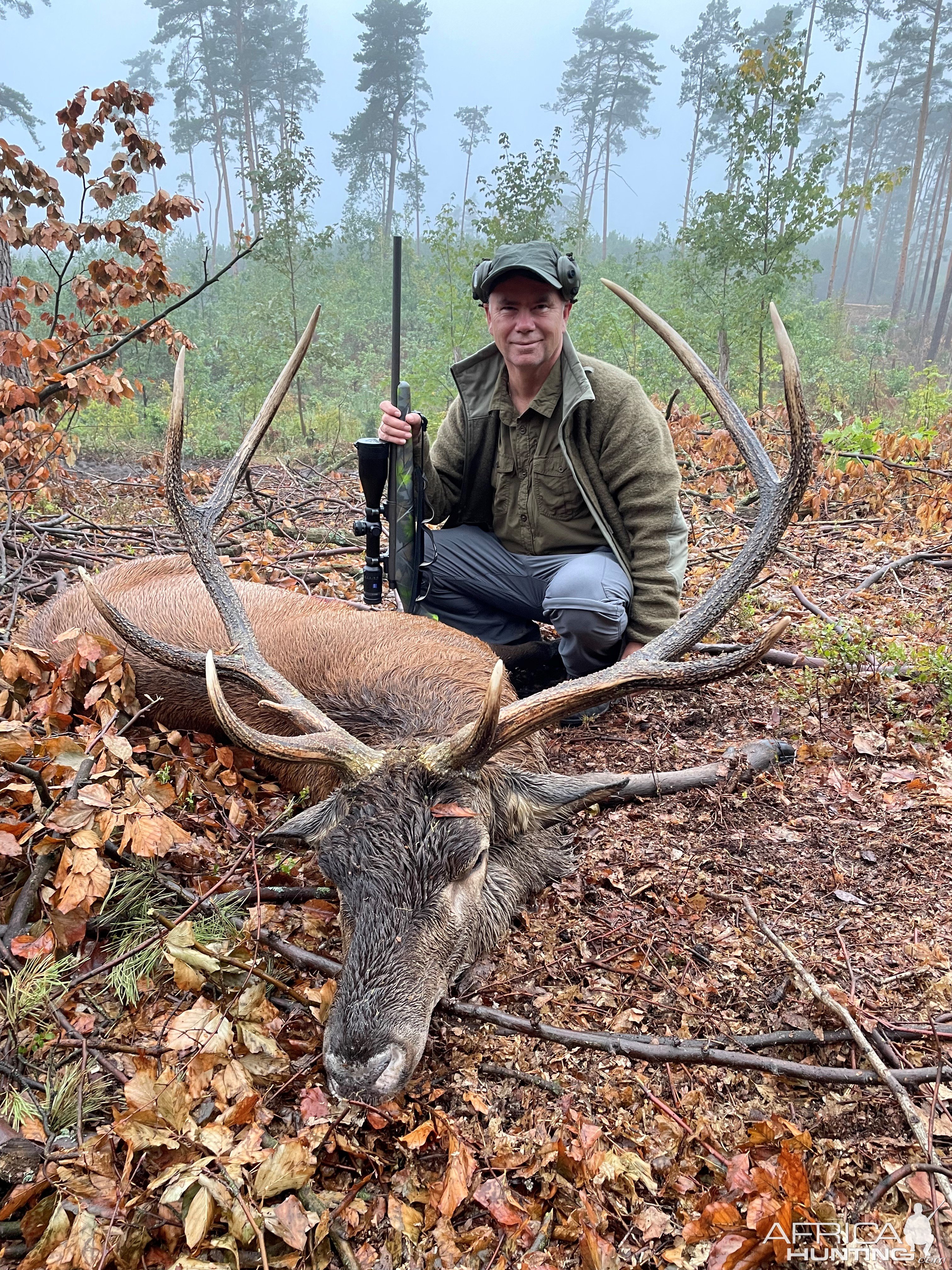 Red Stag Hunt Poland