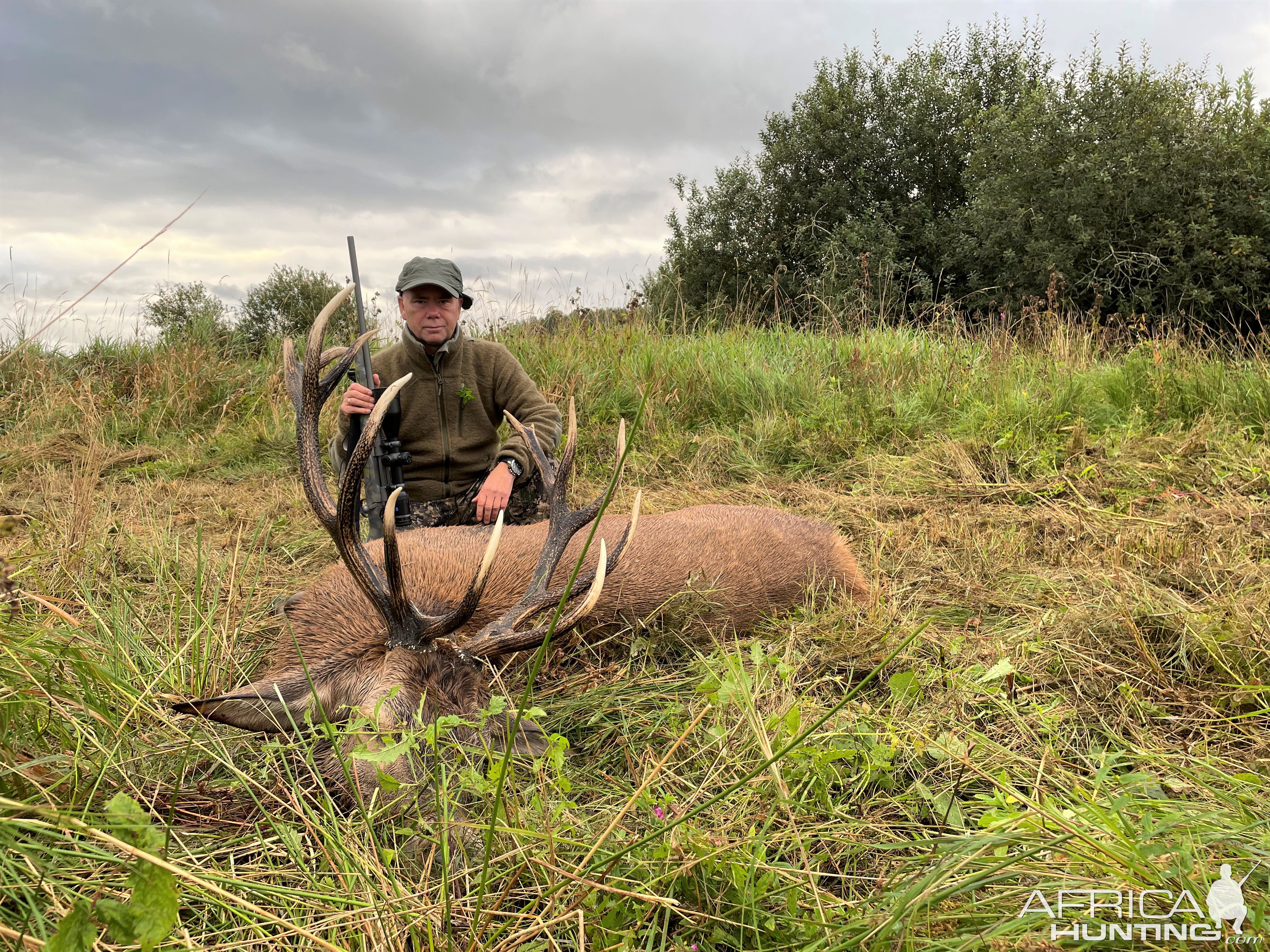 Red Stag Hunt Poland