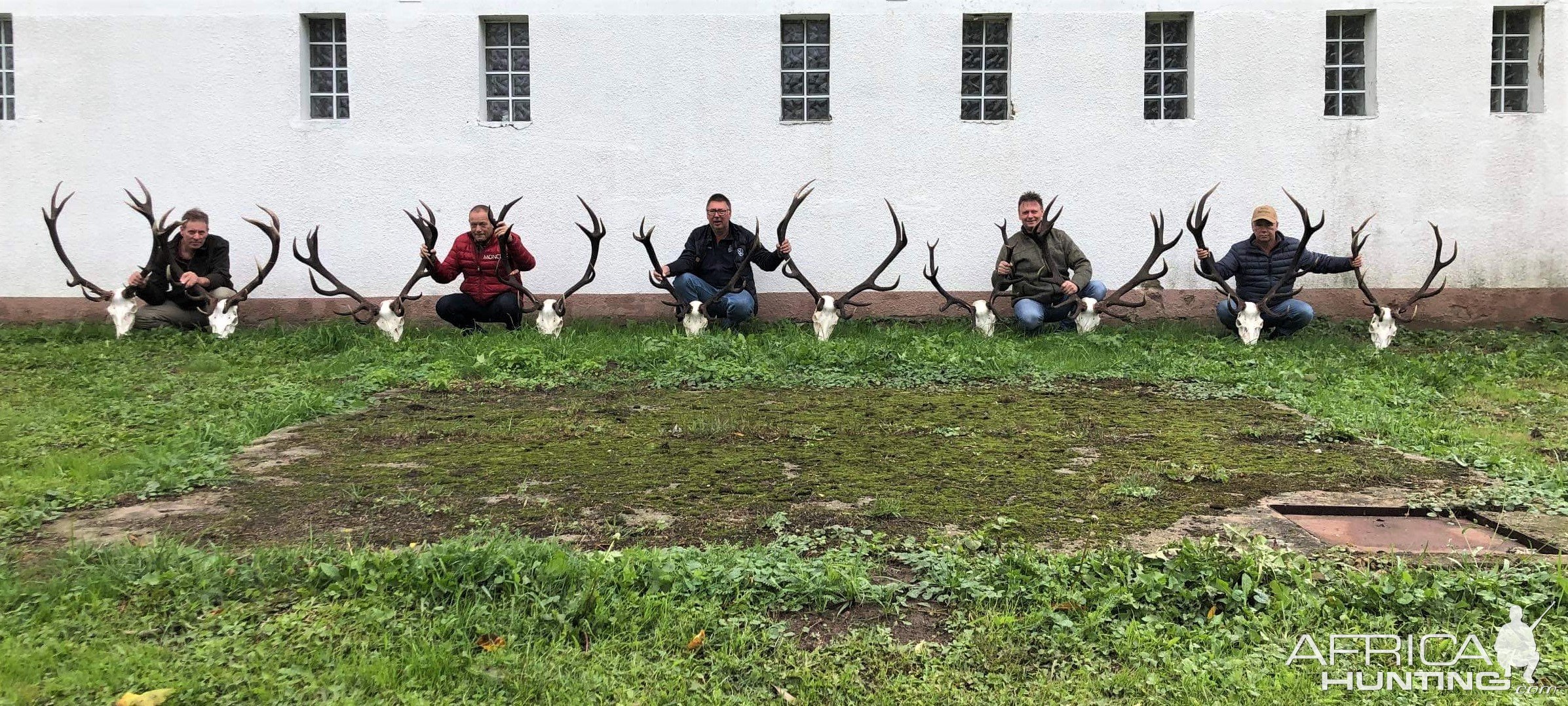 Red Stag Hunt Poland