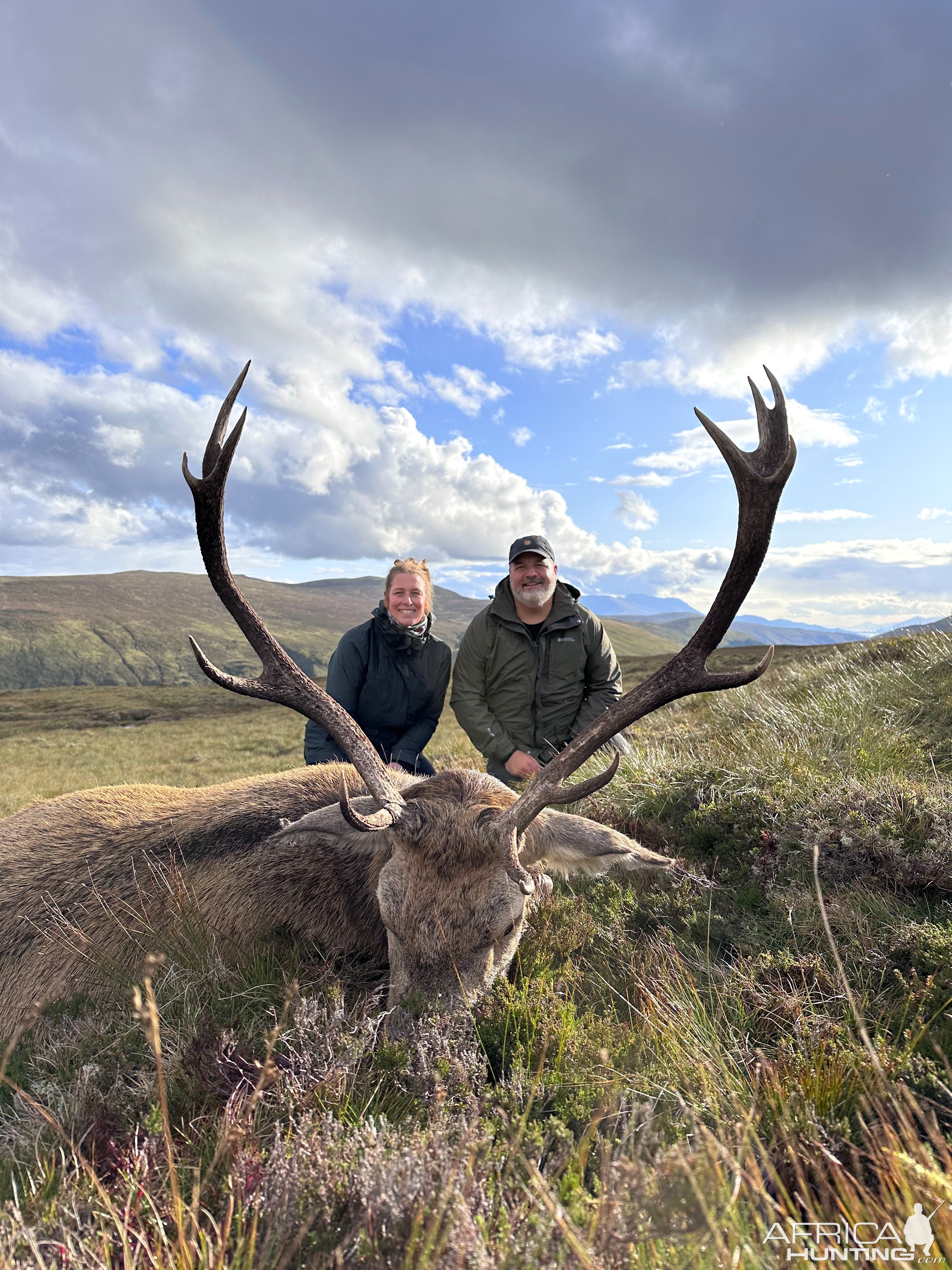 Red Stag Hunt Scotland