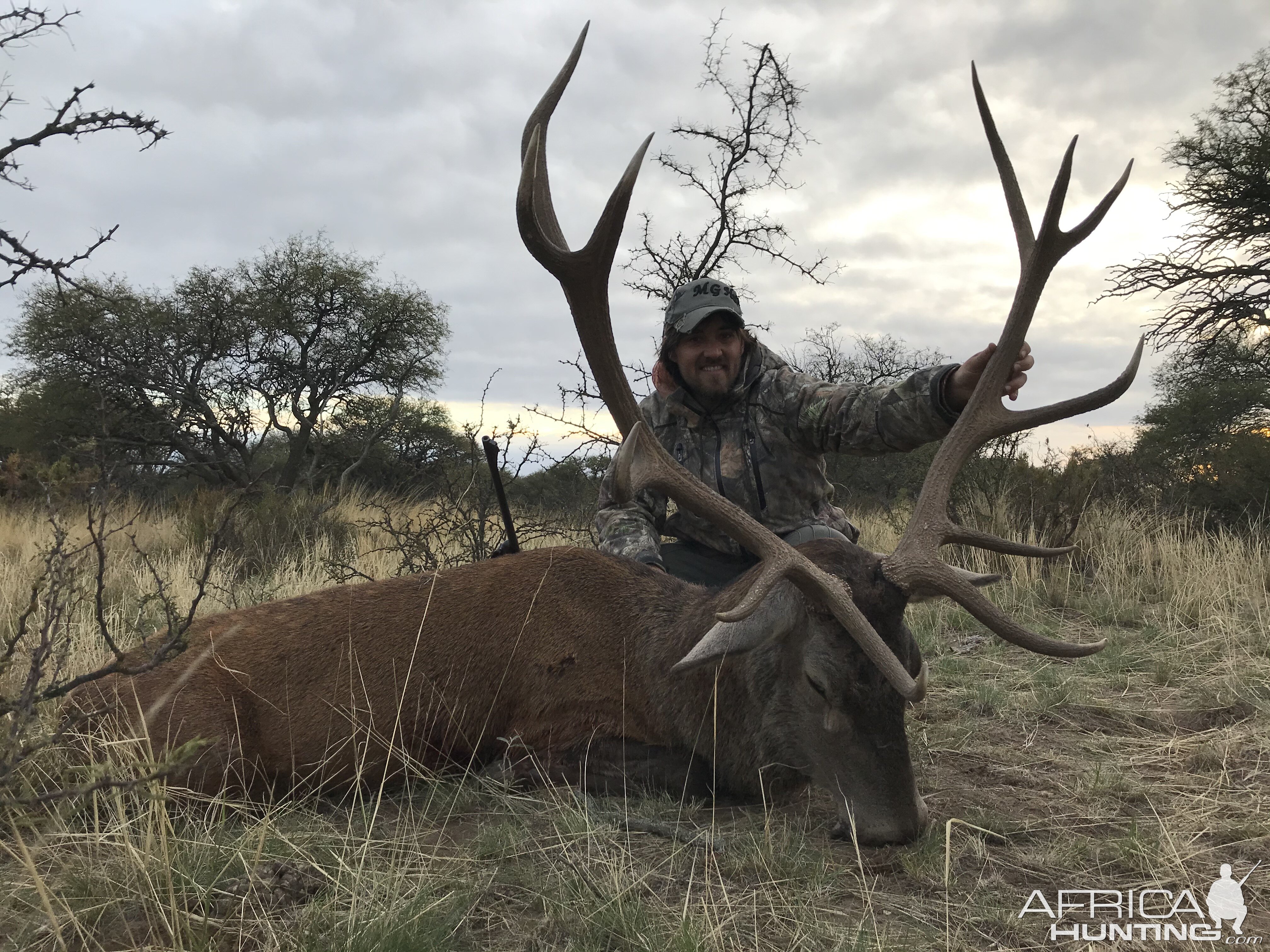 Red Stag Hunting Argentina