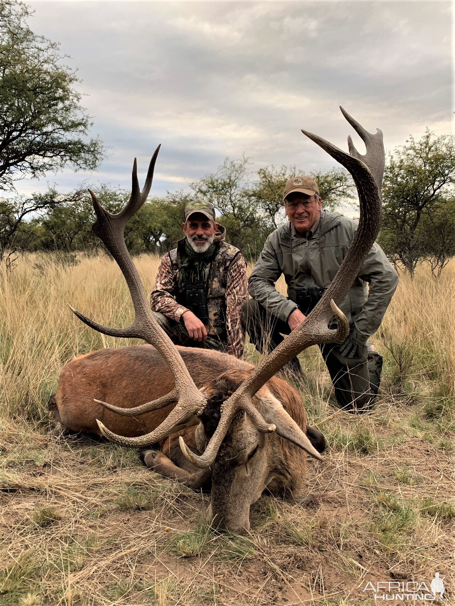 Red Stag Hunting Argentina