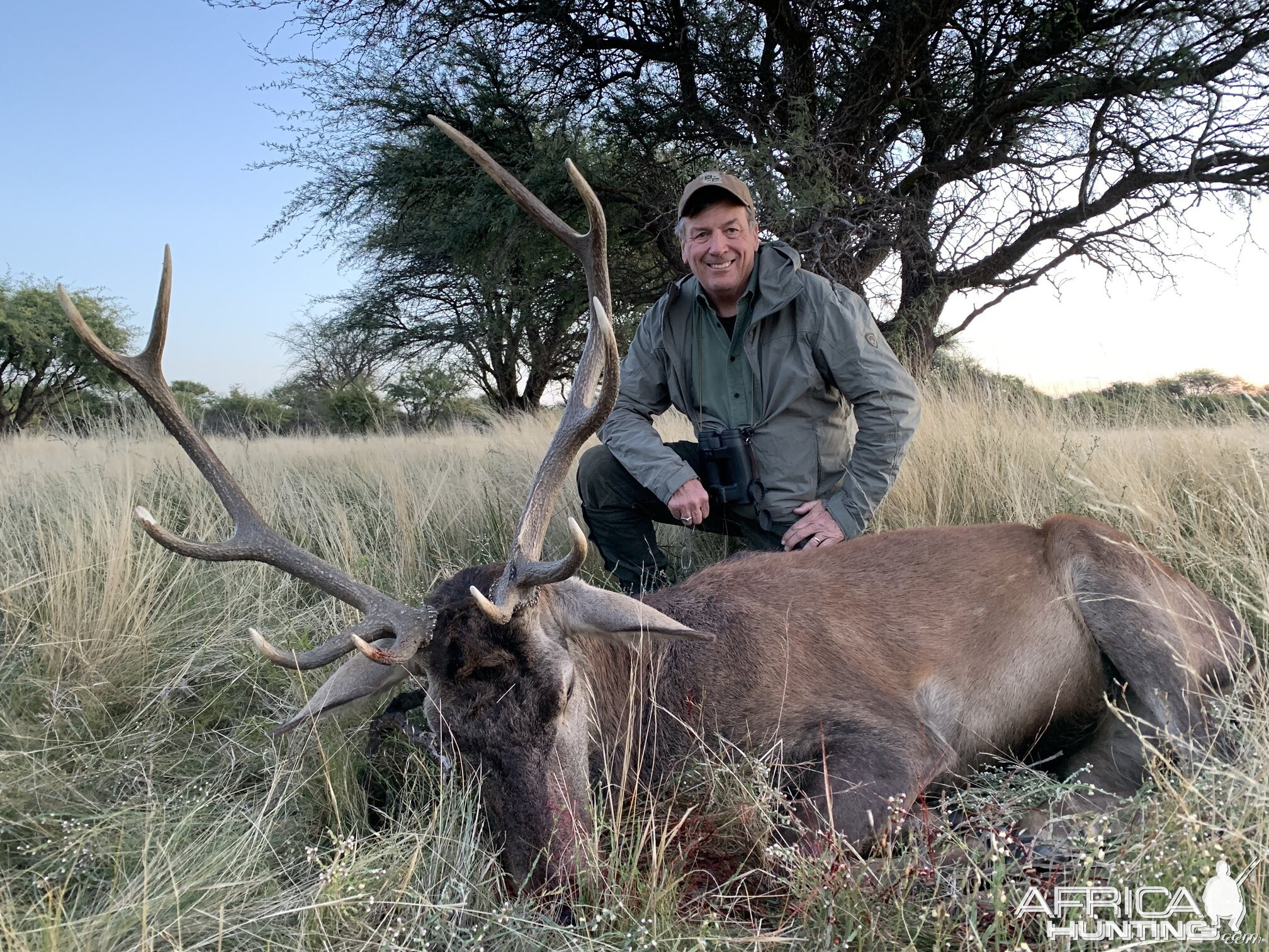 Red Stag Hunting Argentina