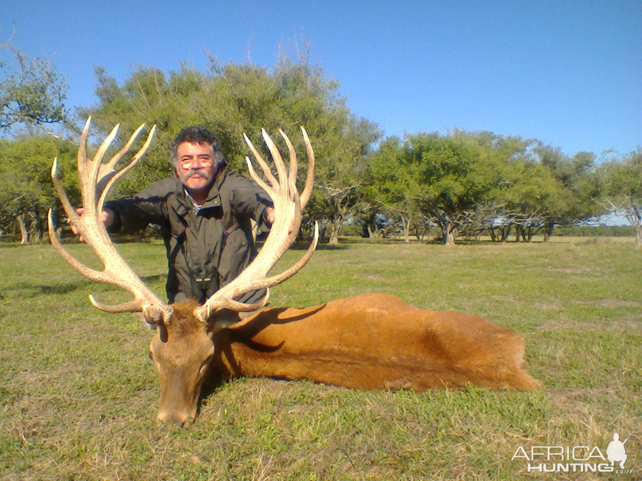 Red Stag Hunting Argentina