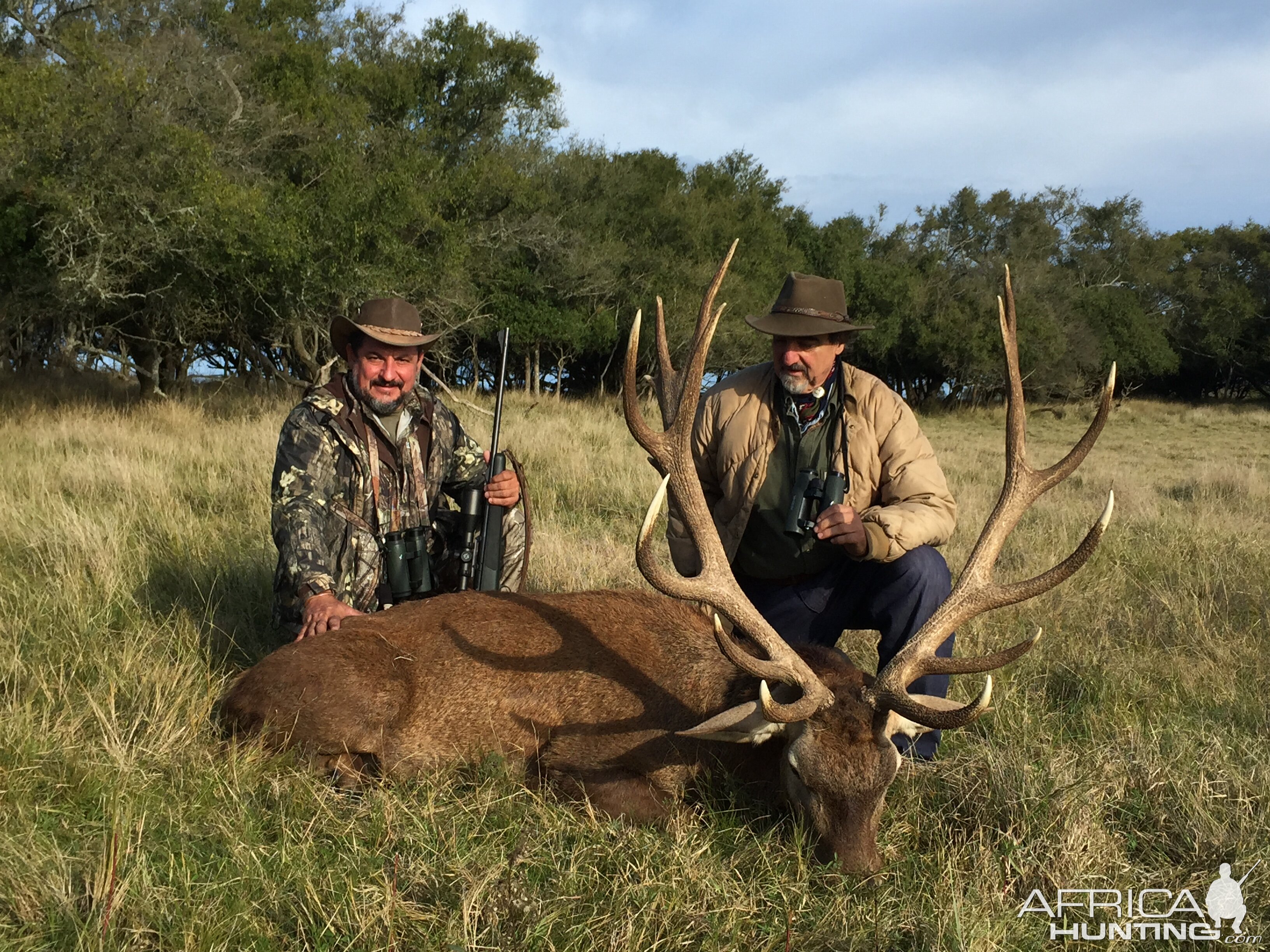 Red Stag Hunting Argentina