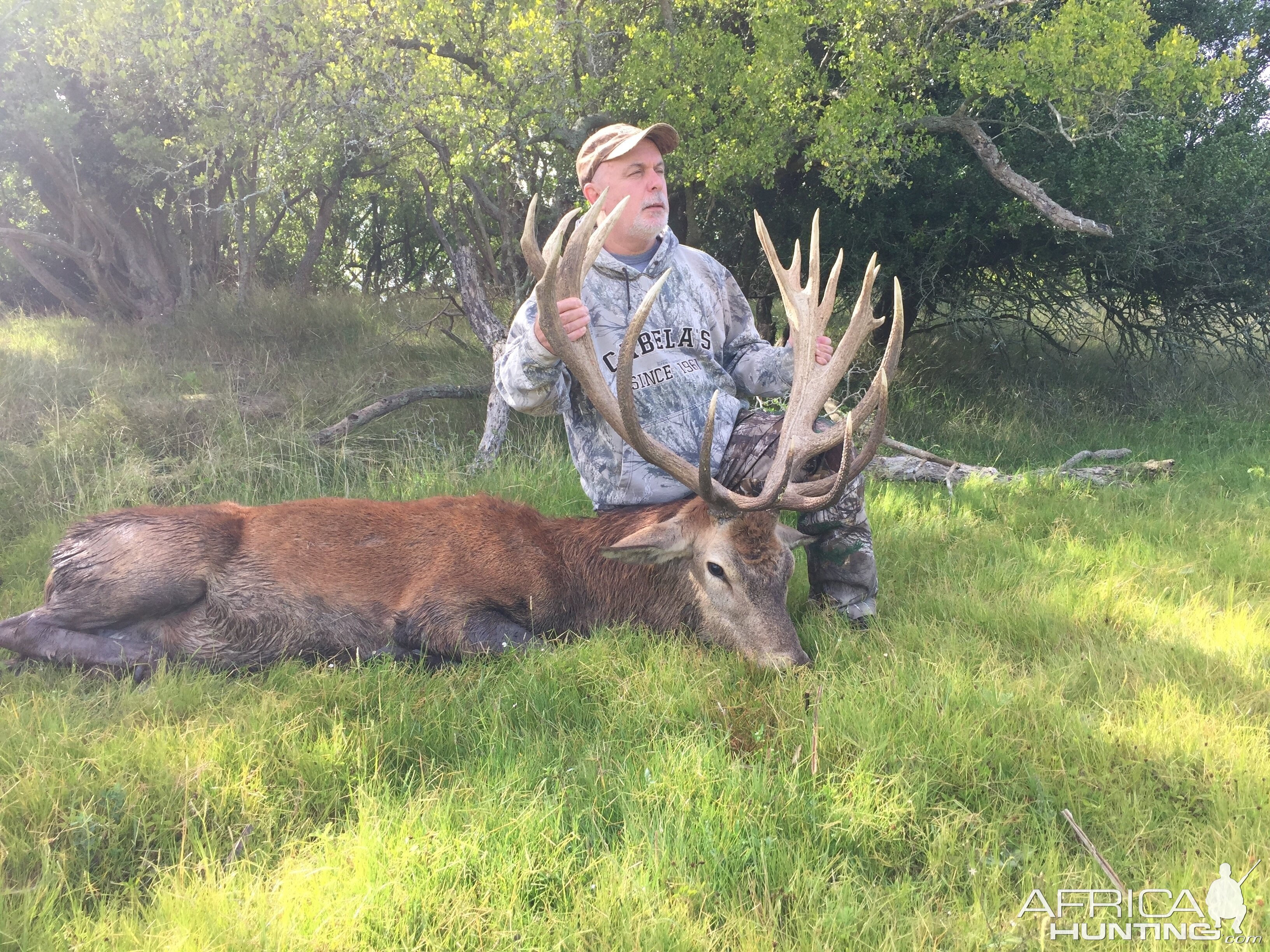 Red Stag Hunting Argentina