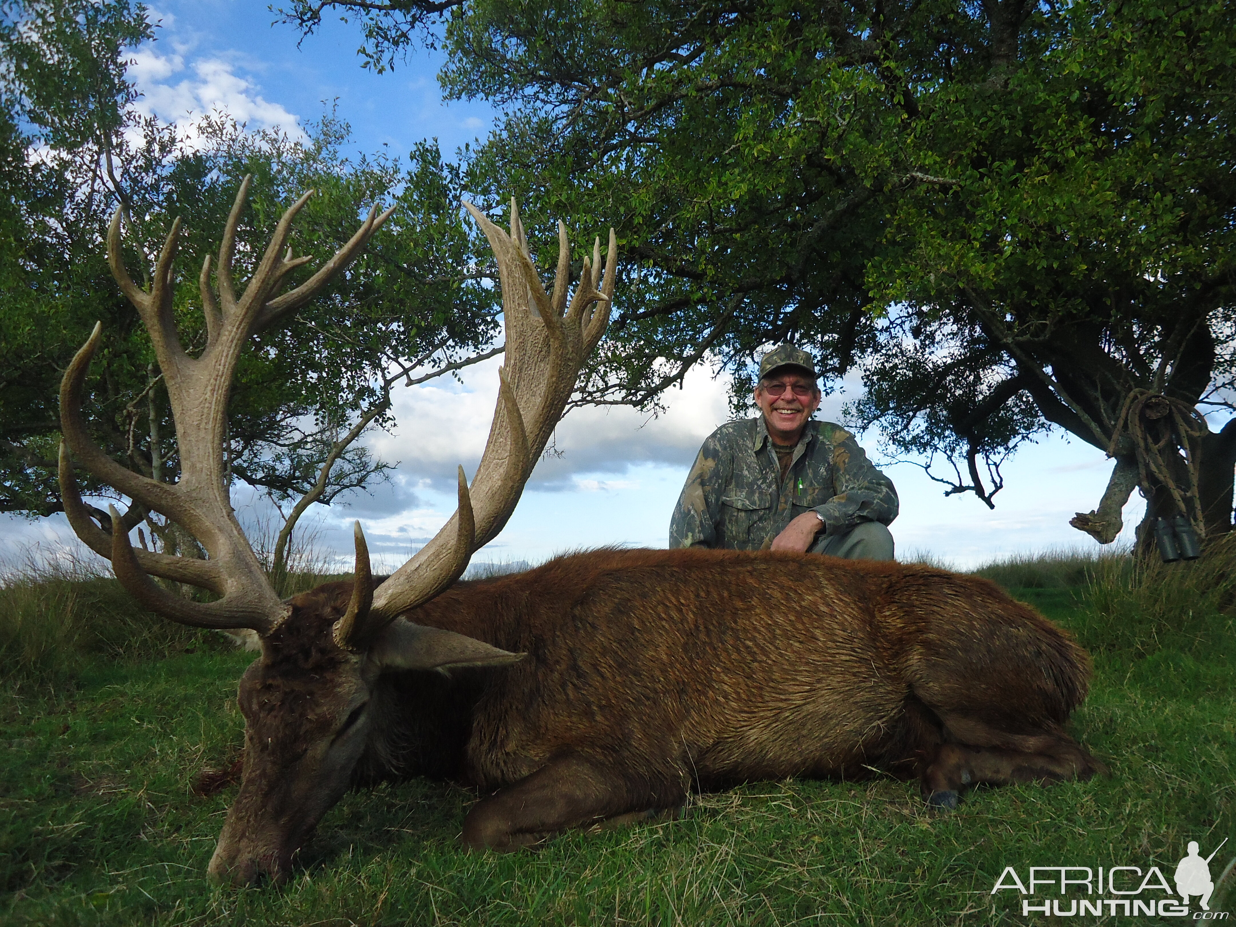 Red Stag Hunting Argentina