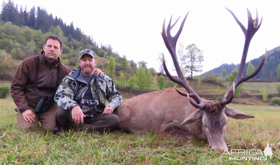 Red Stag Hunting Romania