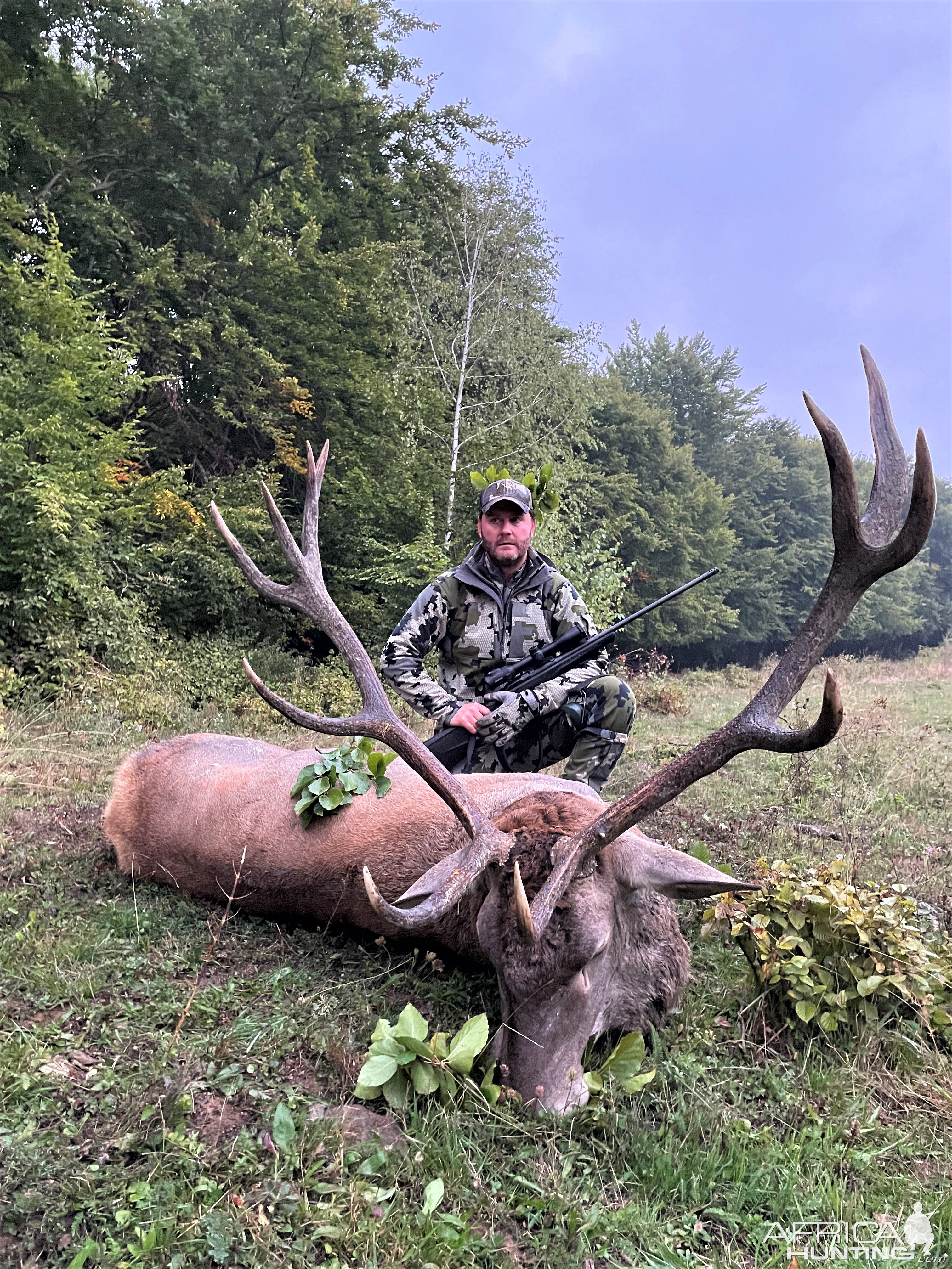 Red Stag Hunting Romania