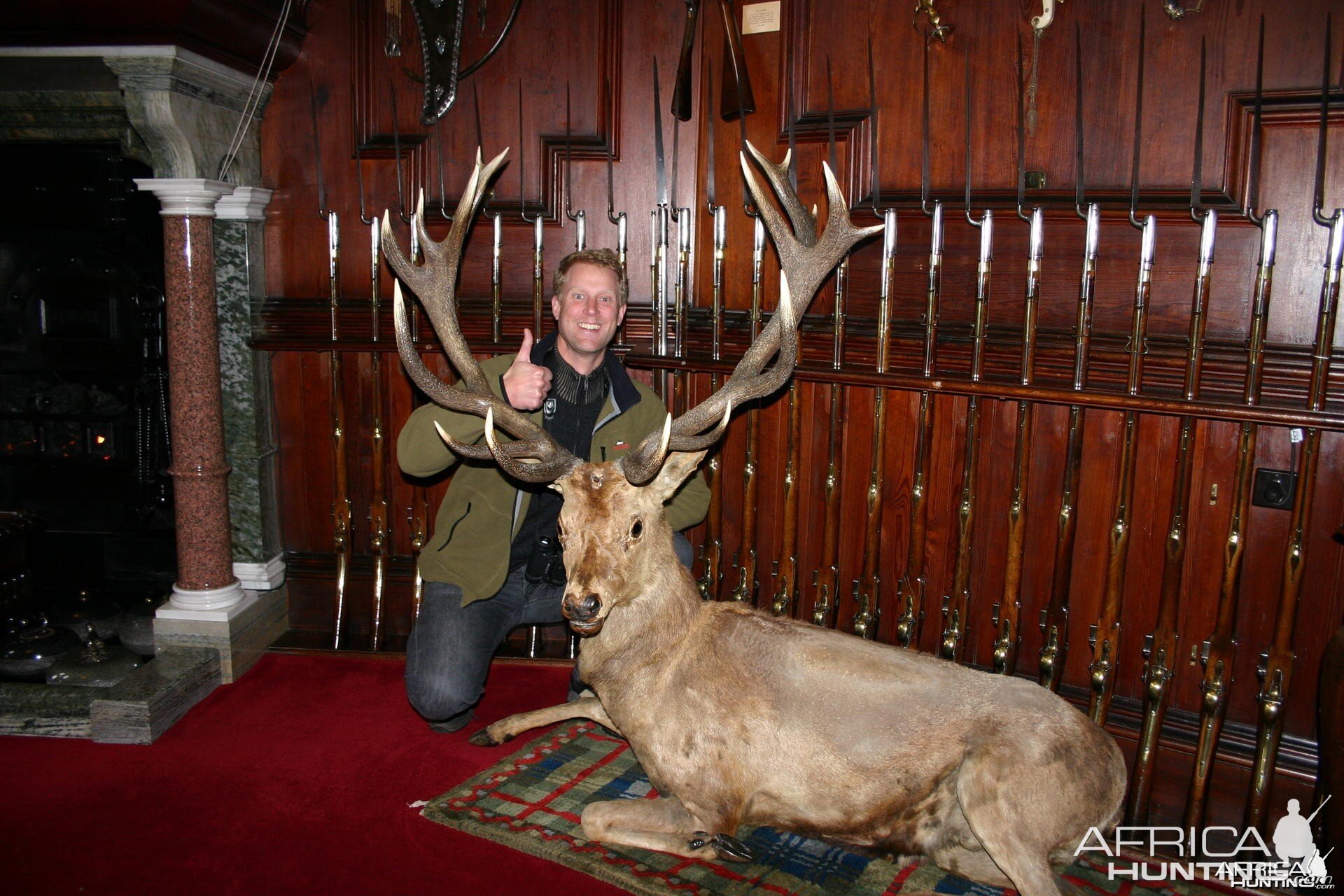 Red Stag Scotland