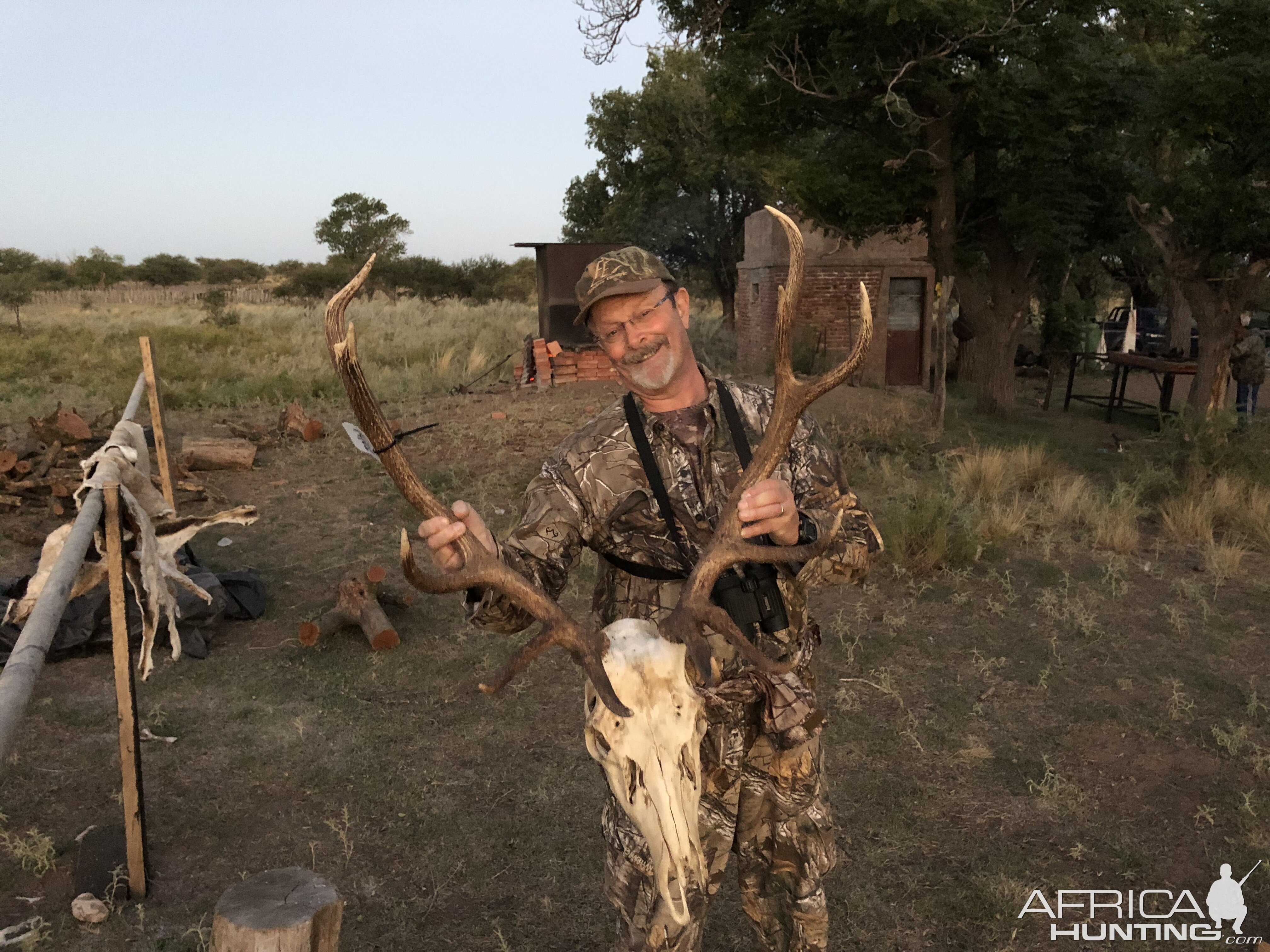 Red Stag Skull