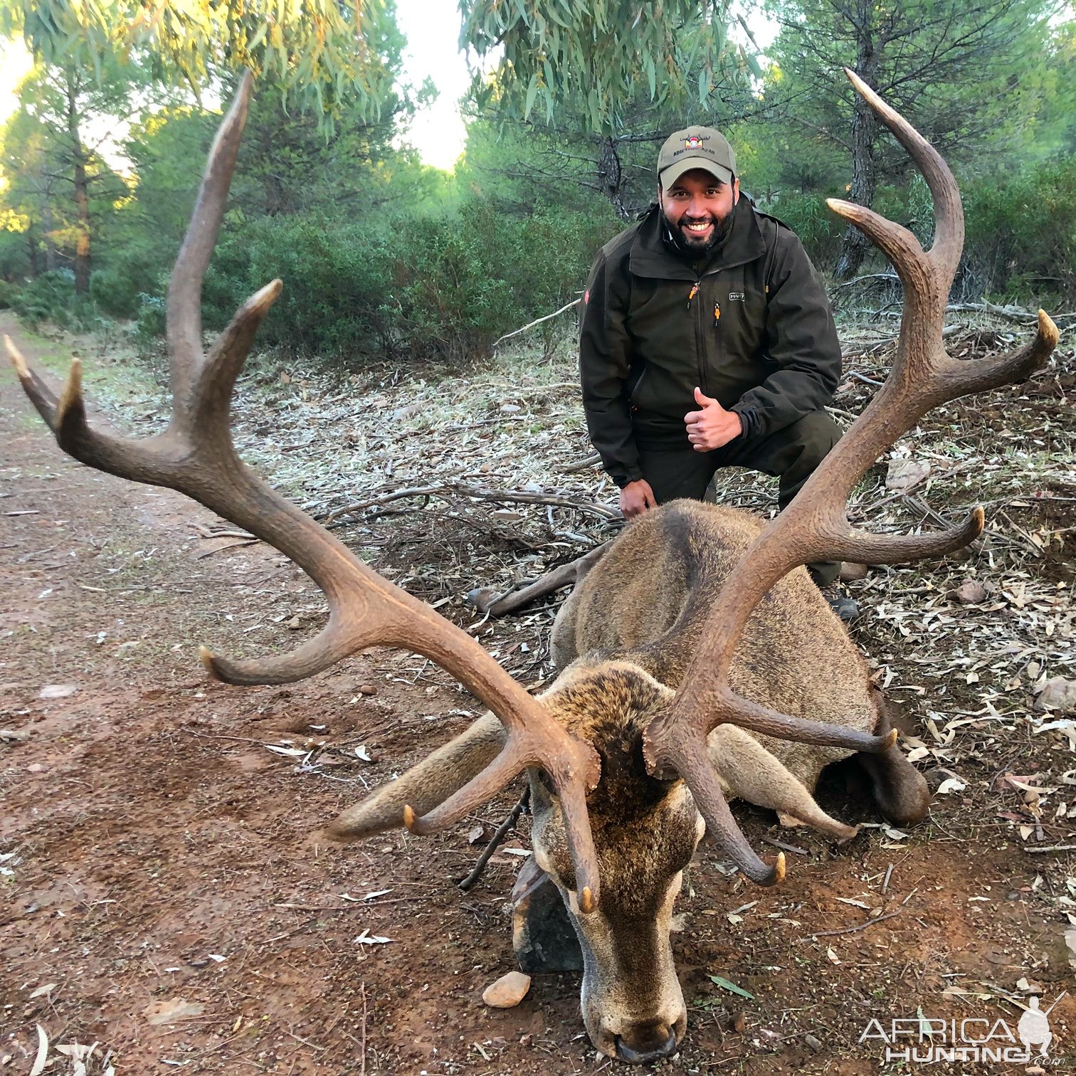 Red Stag Spain Hunt
