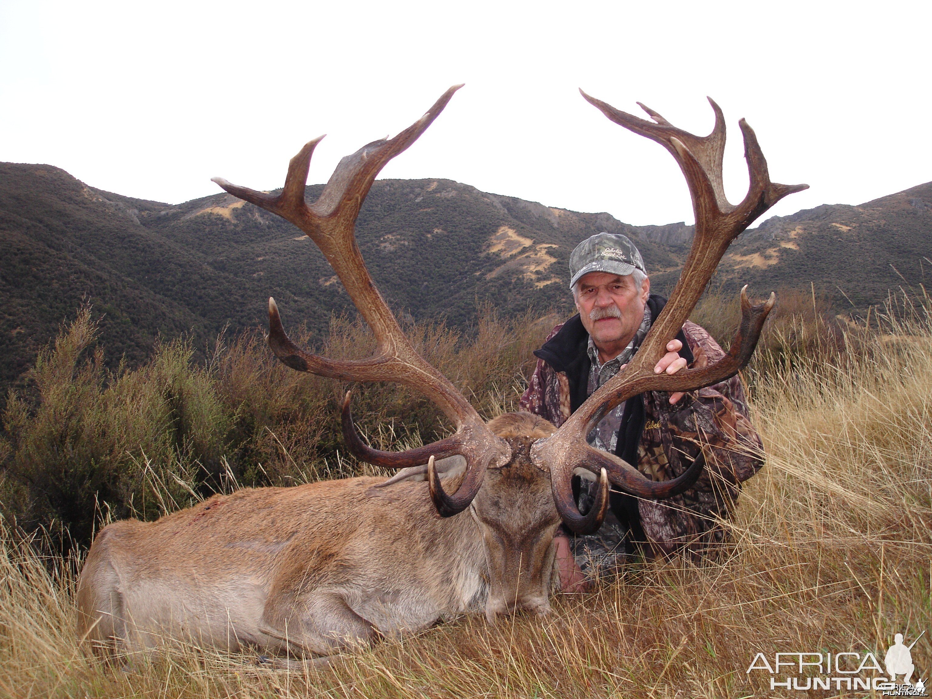 Red Stag taken in New Zealand