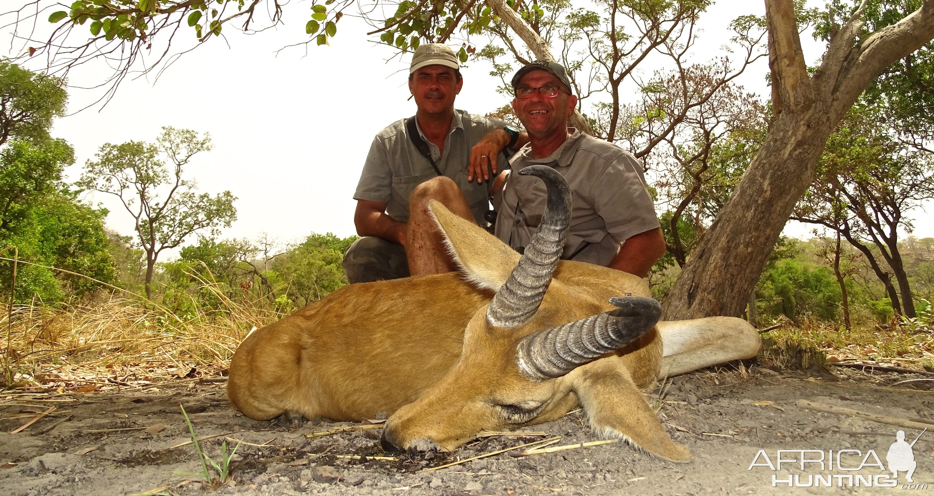 Reedbuck Benin  Hunting