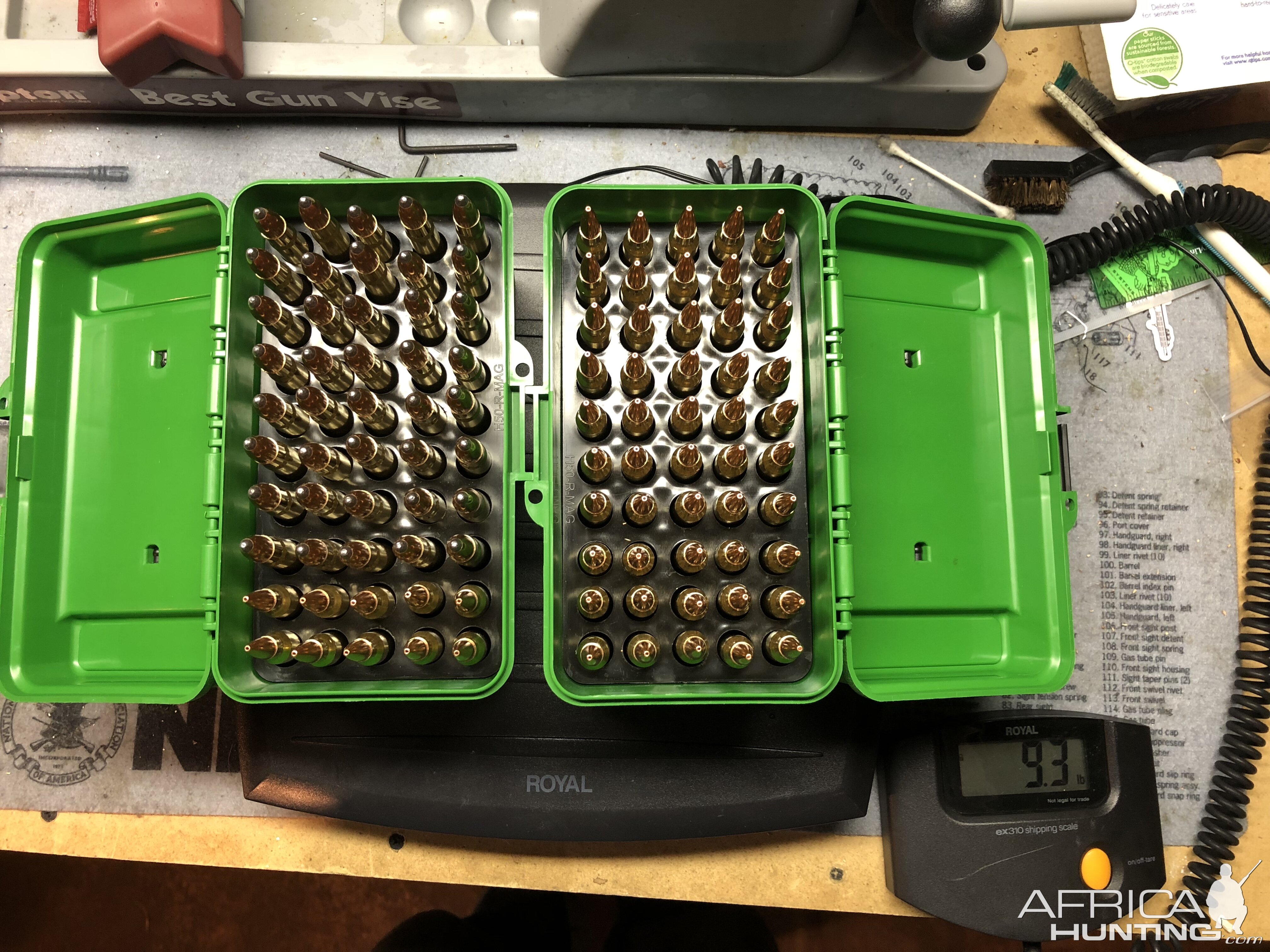 Reloads for 300 Win Mag and 375 H&H