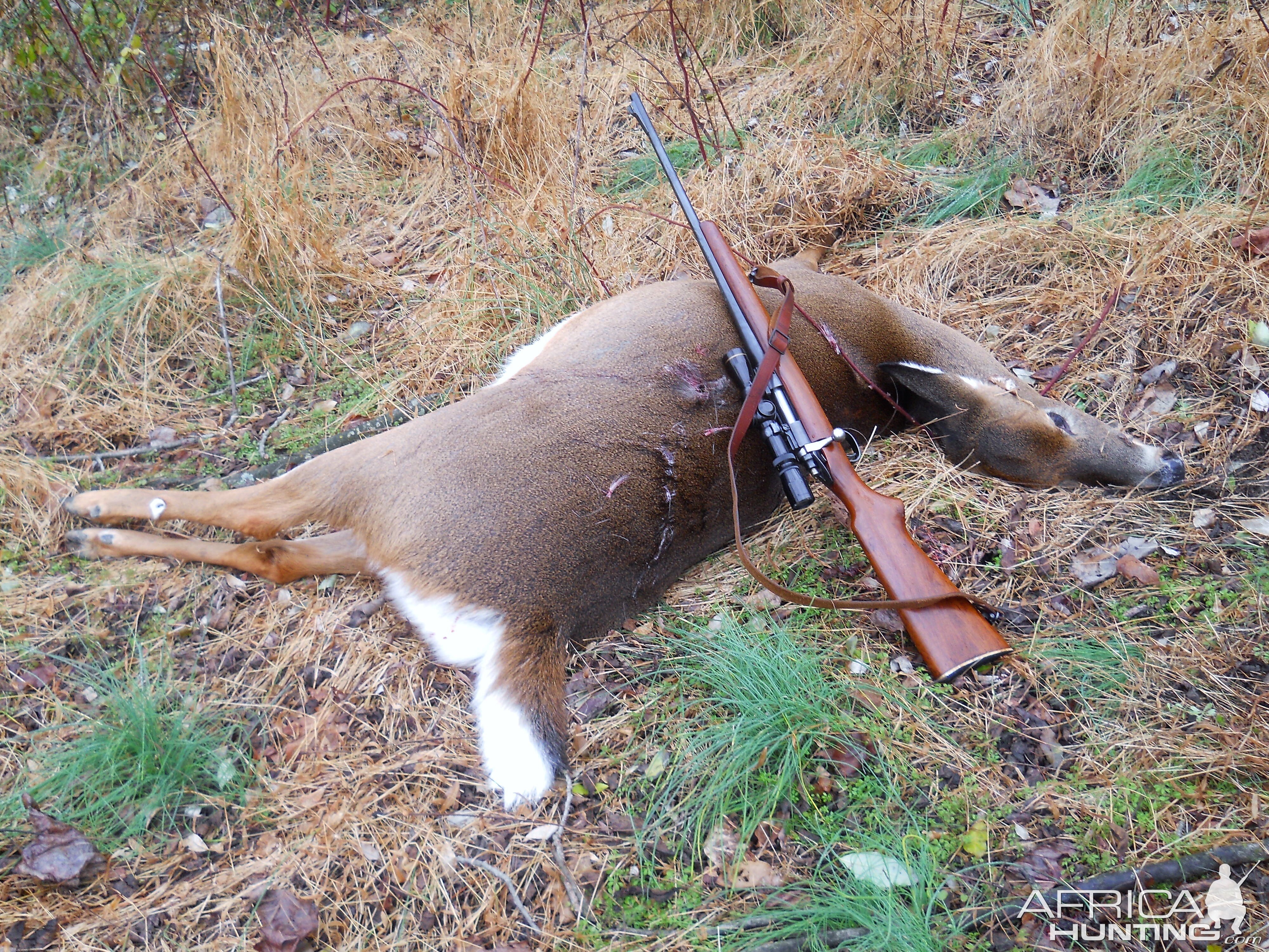 Remington 722 in 257 Roberts Rifle