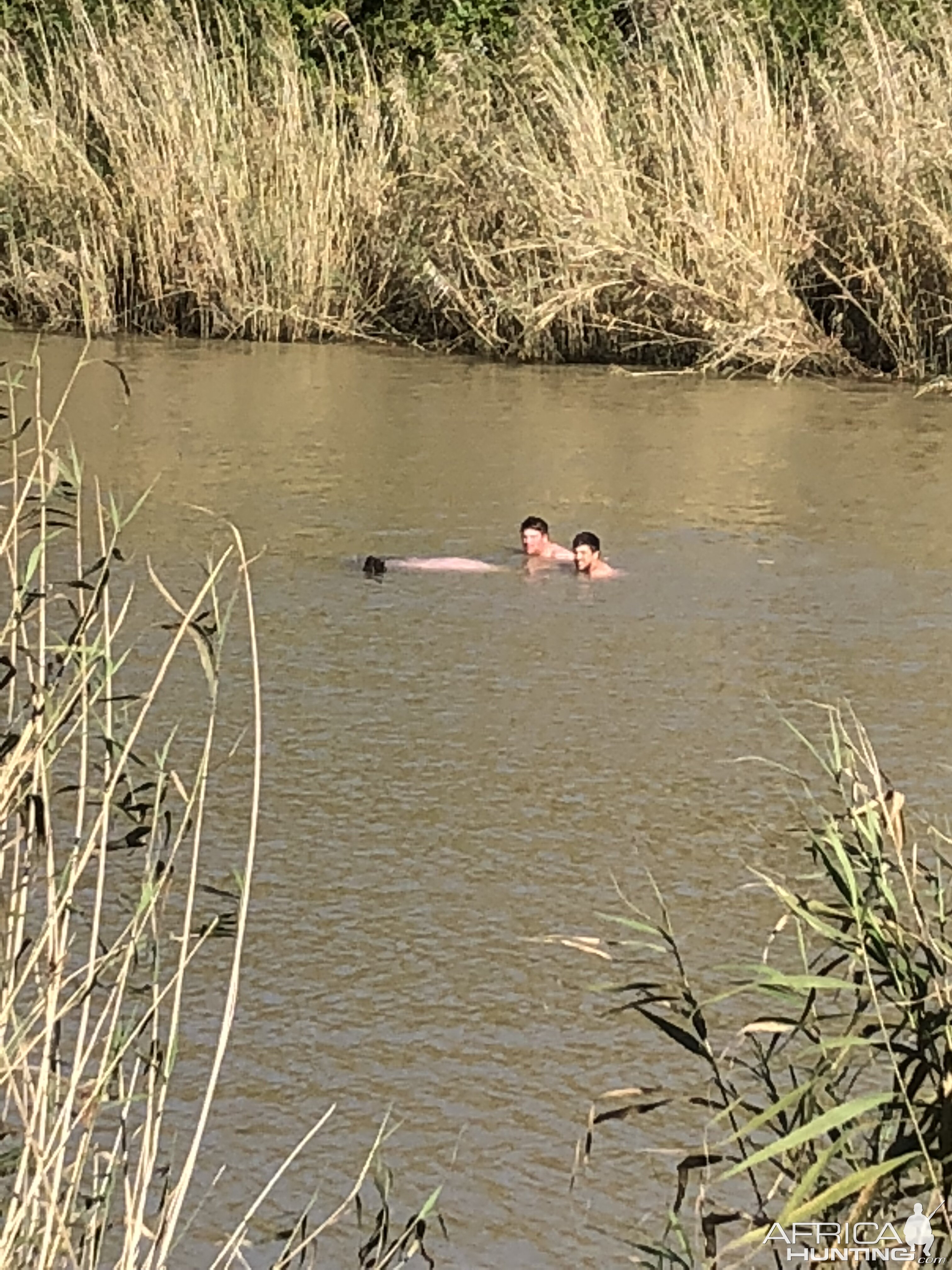 Retrieving Hippo from the water