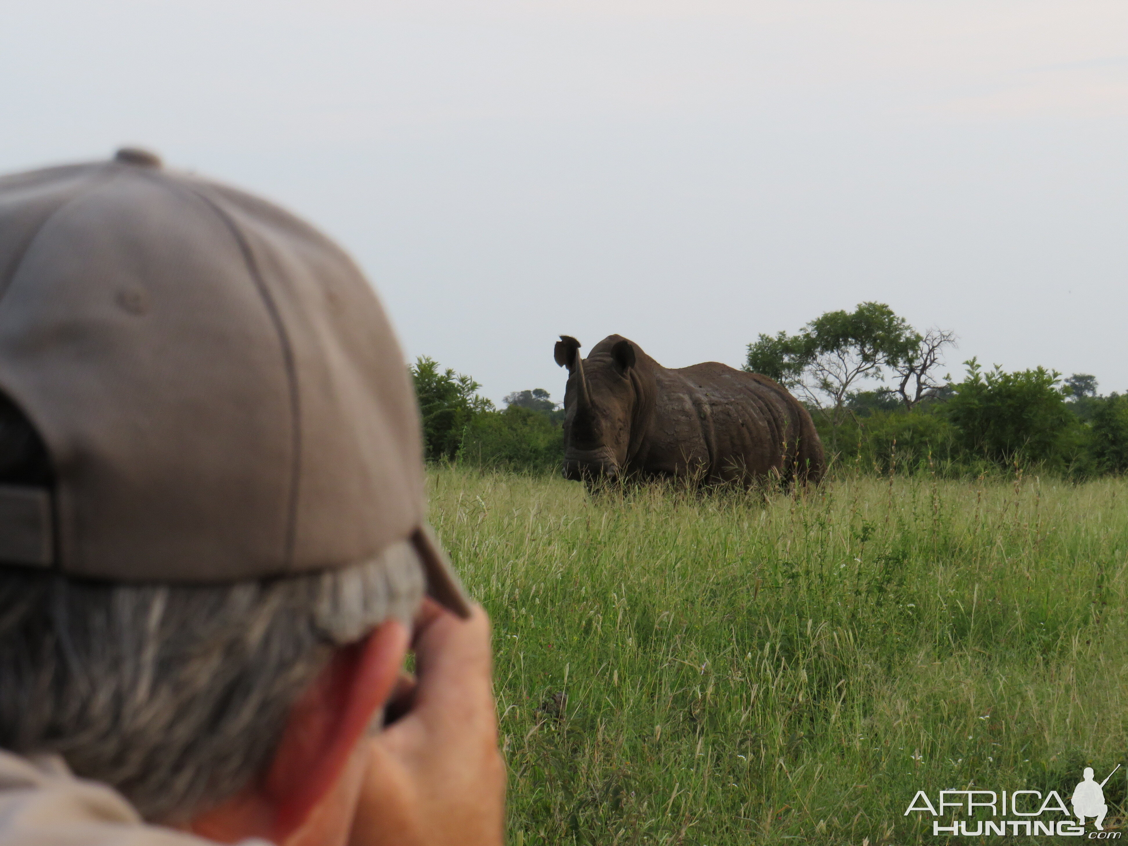 Rhino Game Viewing South Africa