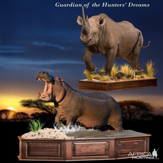 Rhino & Hippo Full Mounts Taxidermy