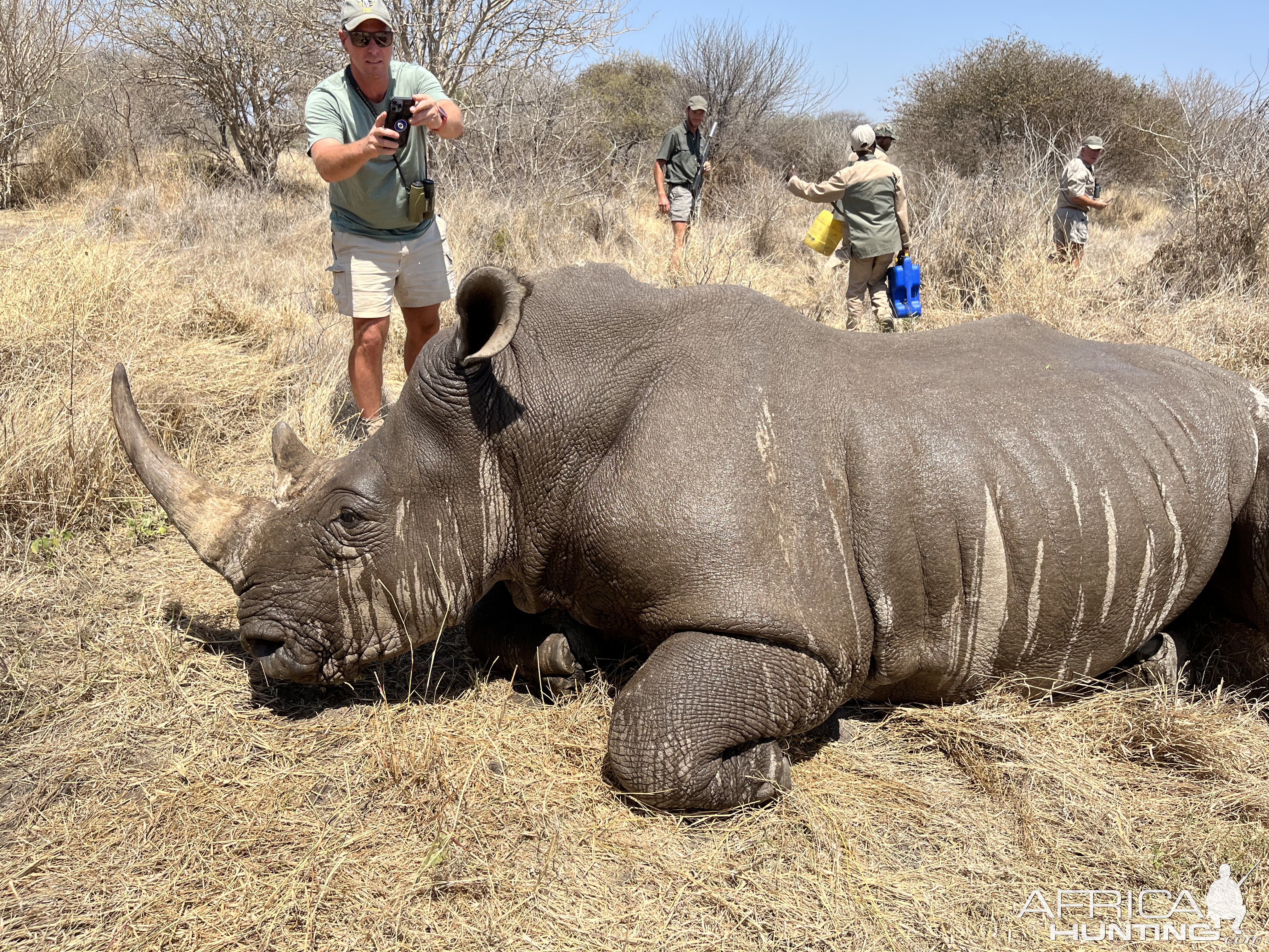 Rhino Vita Darting South Africa