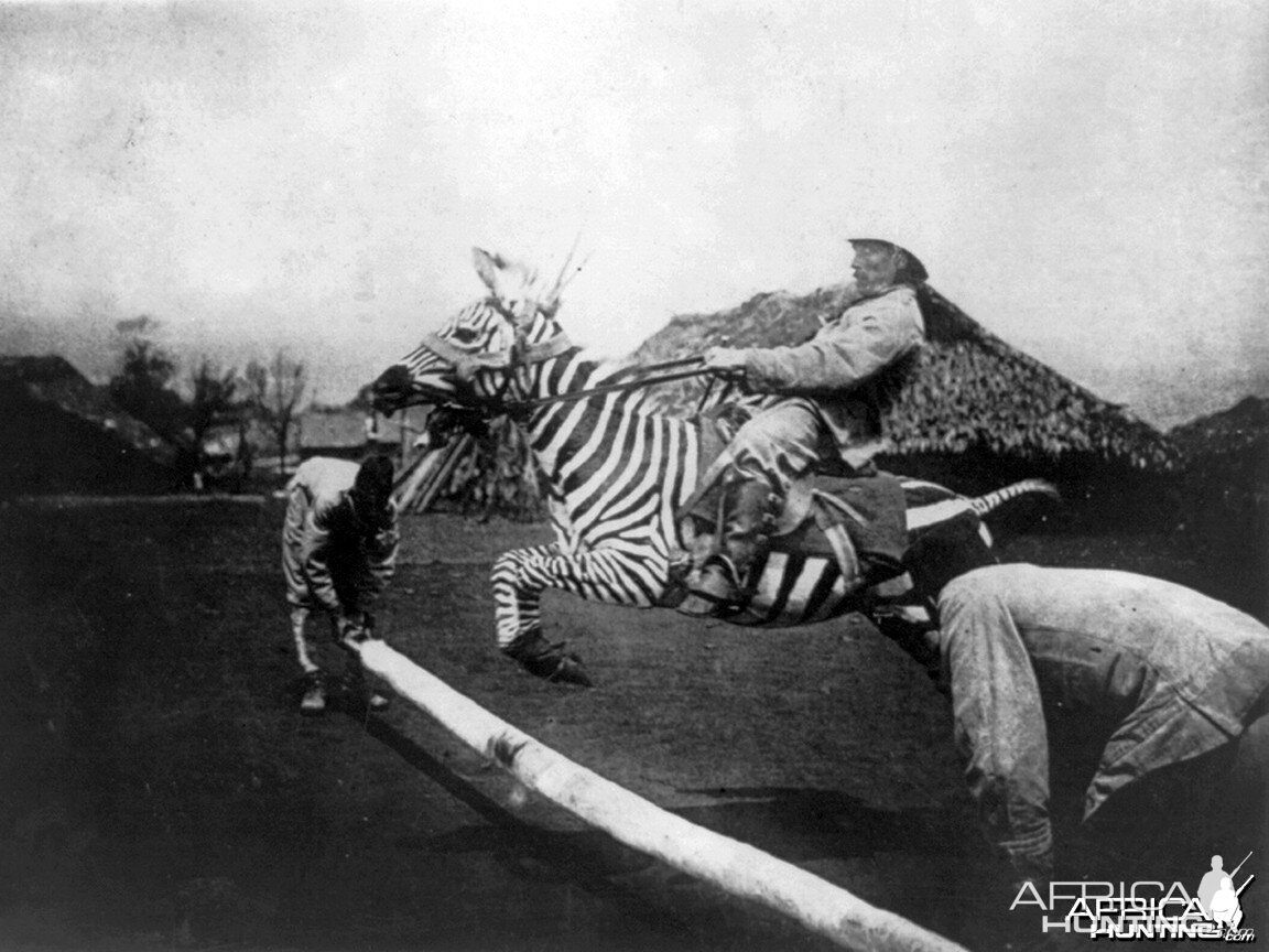 Riding a Zebra in East Africa